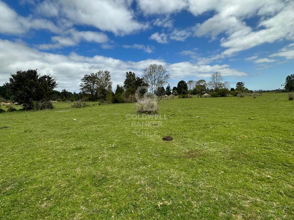 Maullín, Chile, ,Residential,For Sale,1994517