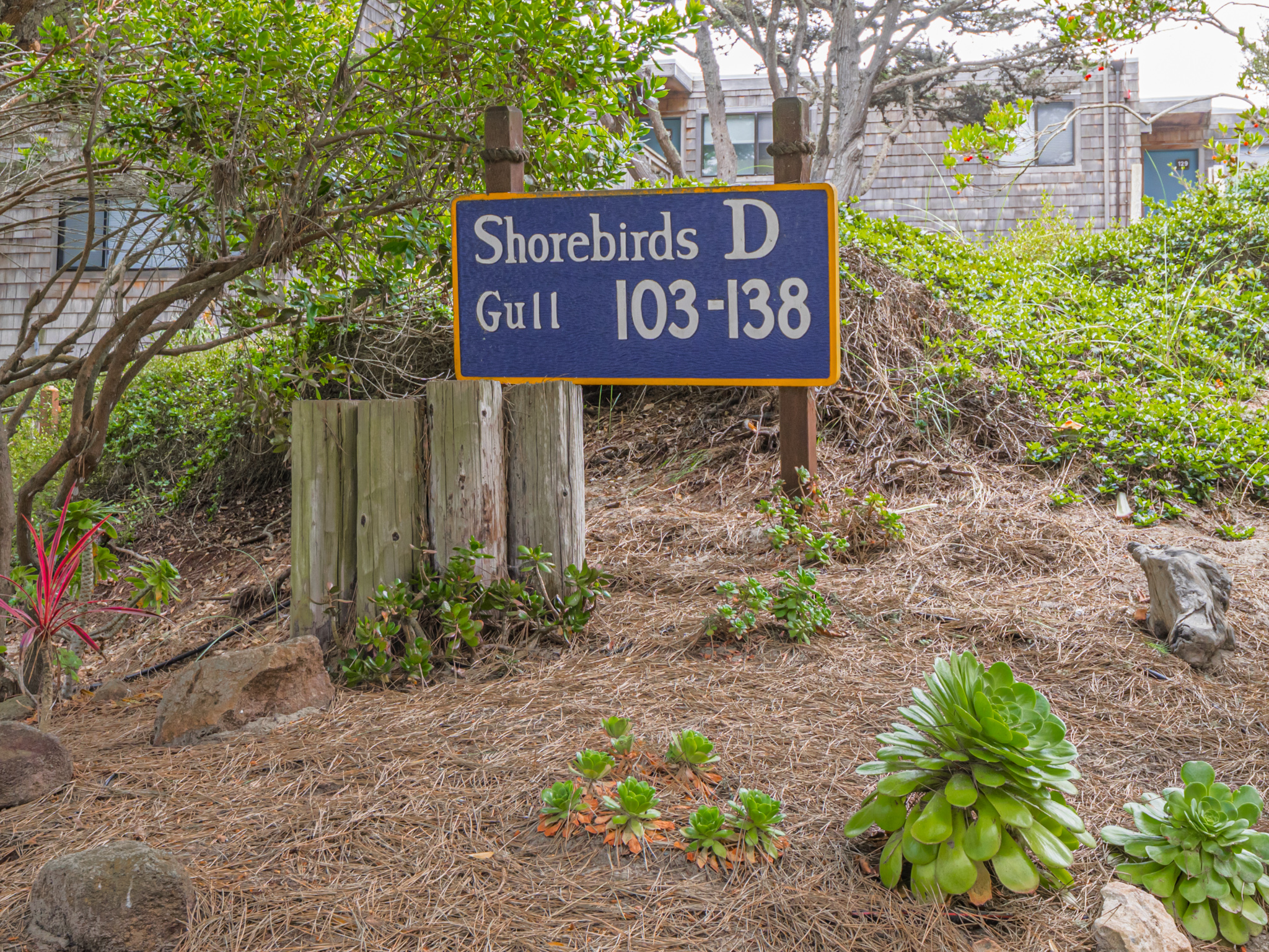  101 Shell Drive - 物件實景