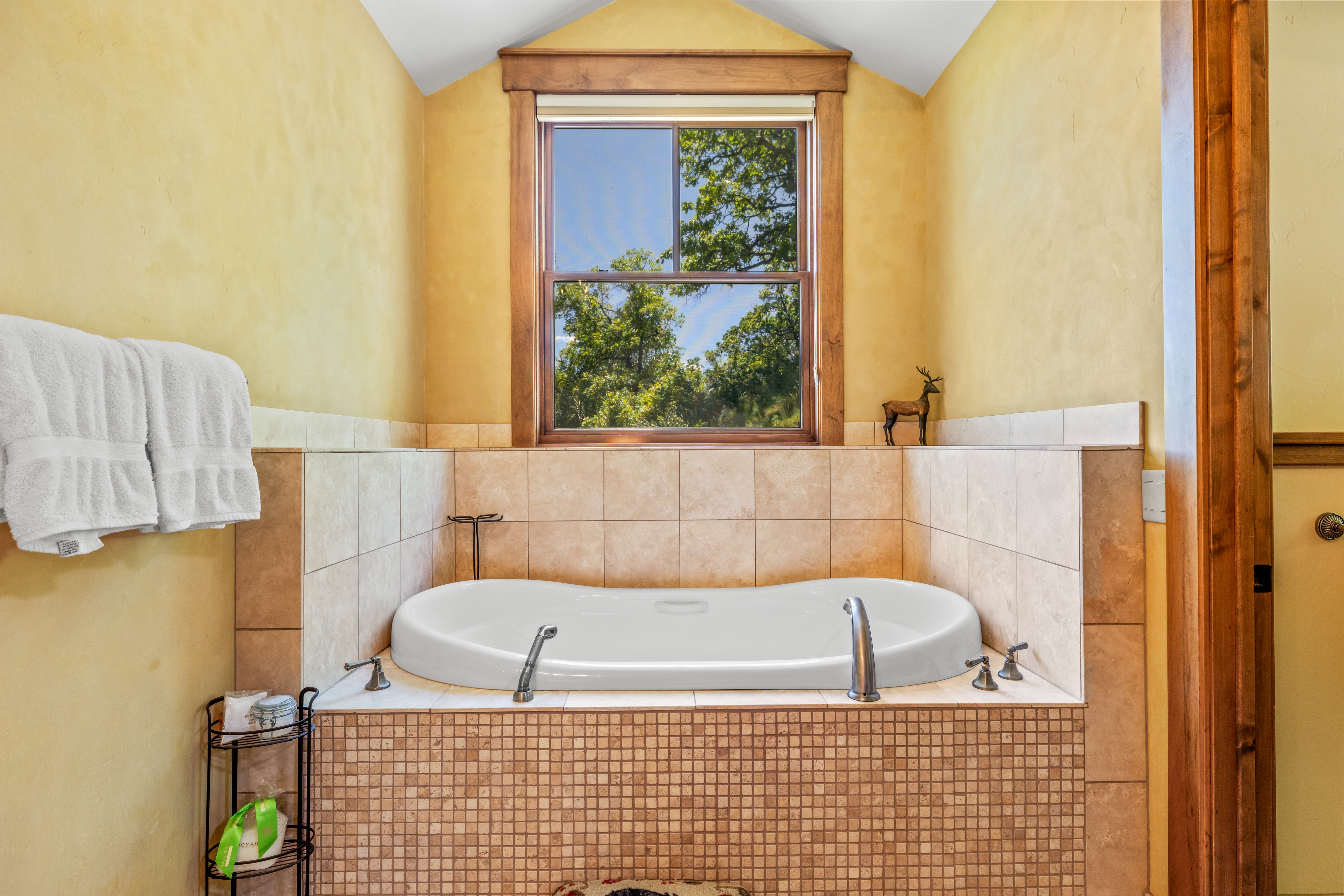  31050 Sweetwater Drive, Steamboat Springs, CO 80487 - 物件實景