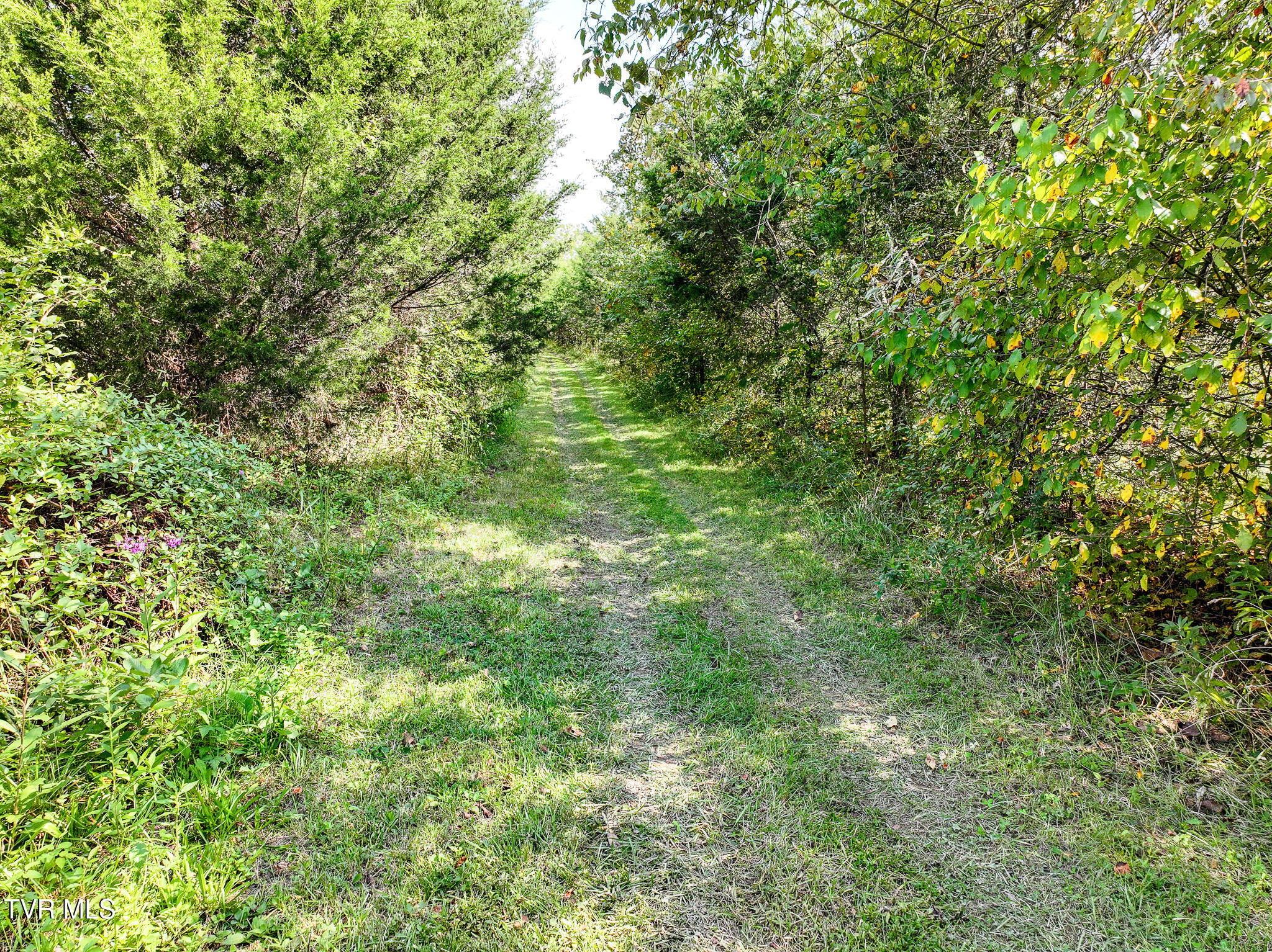 Greeneville, Tennessee, 37745, United States, 3 Bedrooms Bedrooms, ,3 BathroomsBathrooms,Residential,For Sale,2039547