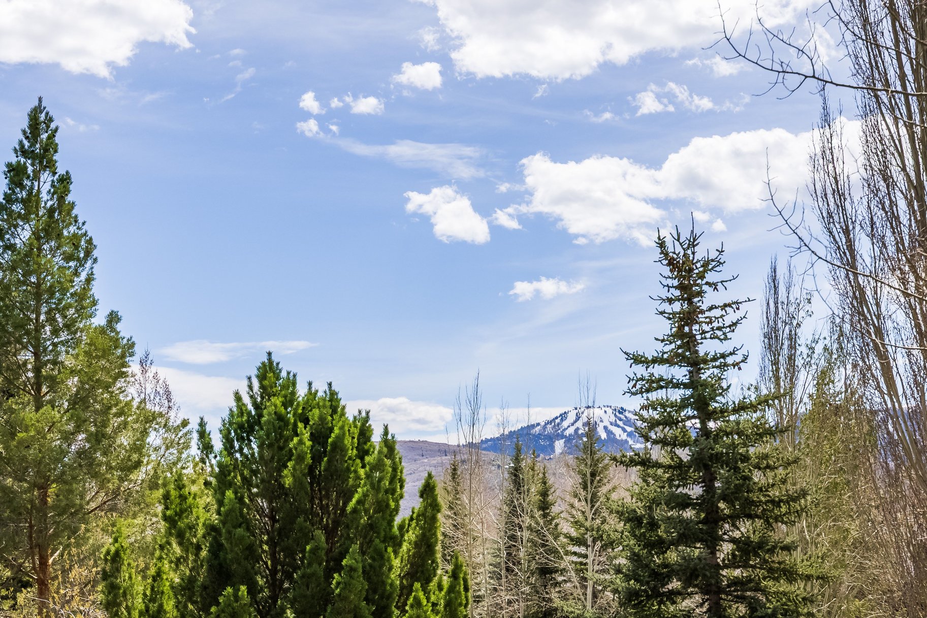  Refined Park Meadows Corner Residence with Ski Run Views & Designer Renovations - 物件實景