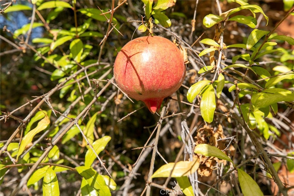 North Hollywood, California, 91605, United States, 3 Bedrooms Bedrooms, ,2 BathroomsBathrooms,Residential,For Sale,1989724