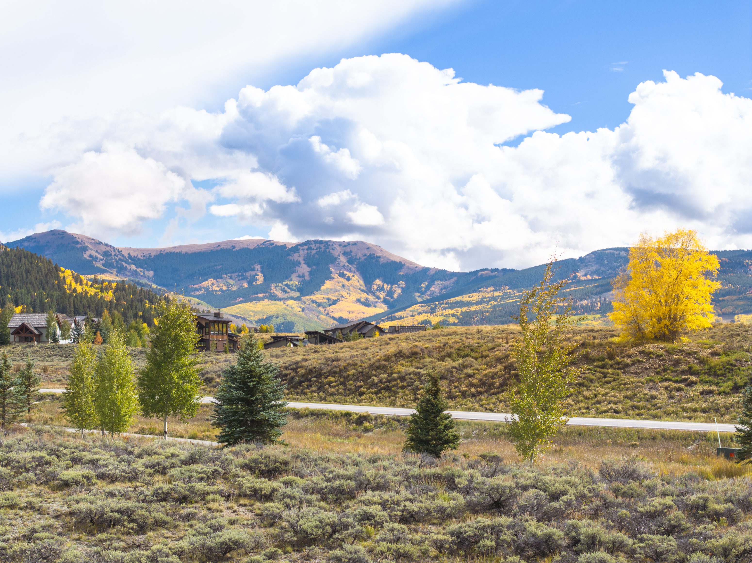  A Crested Butte Property Worth Seeing - 物件實景