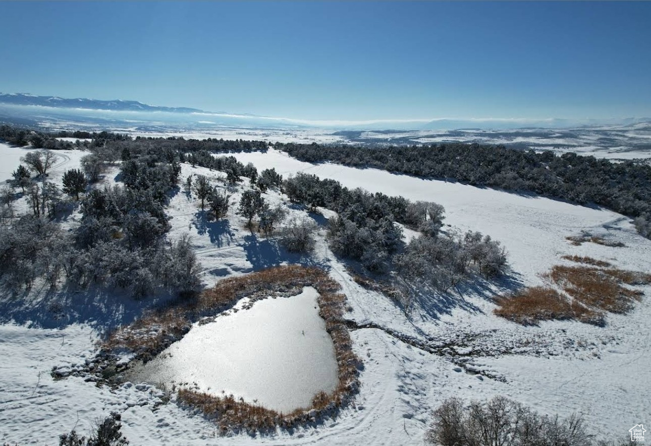 Fairview, Utah, 84629, United States, ,Land,For Sale,1796980