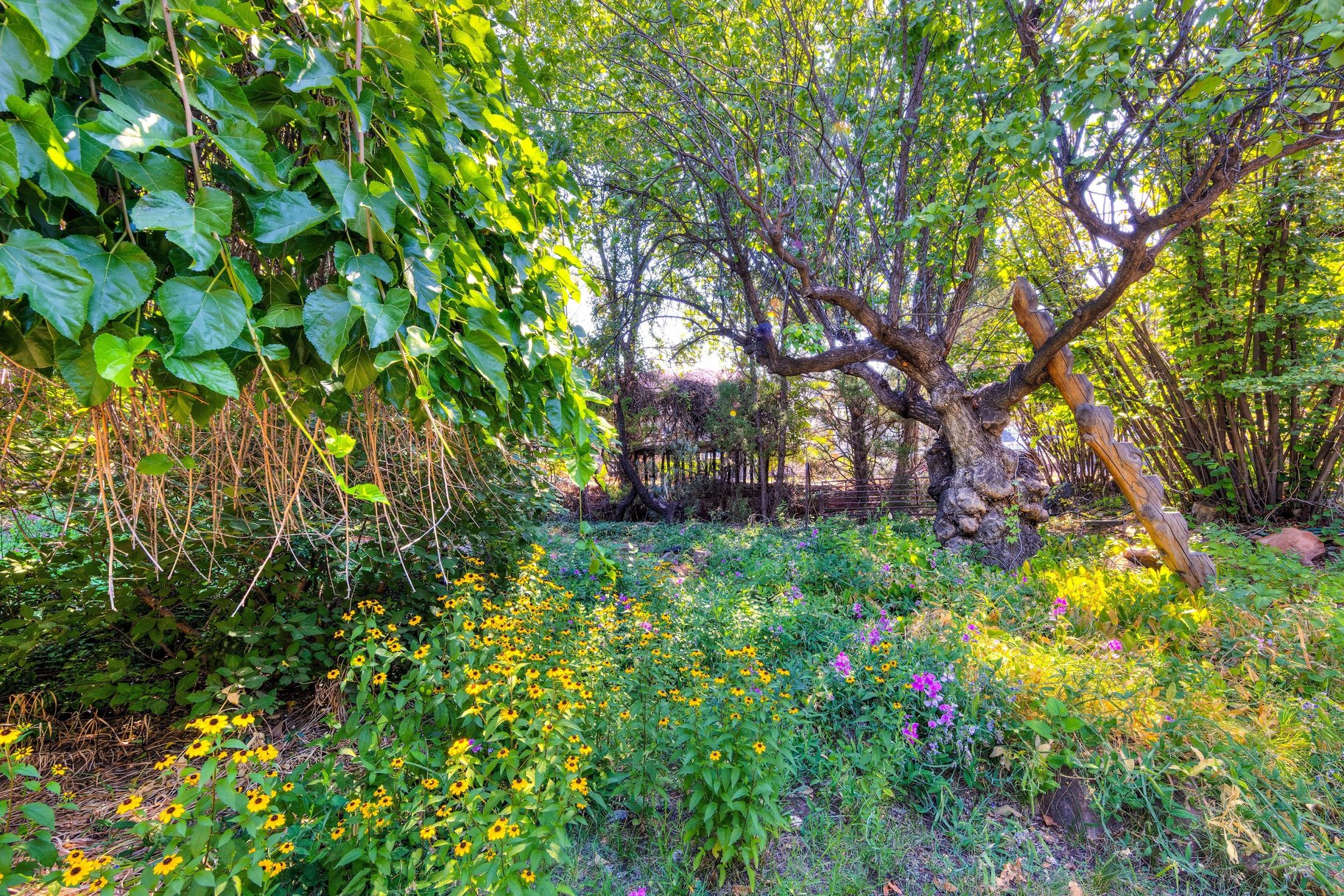  Great Location, Private Backyard & Plenty of Potential - 物件實景