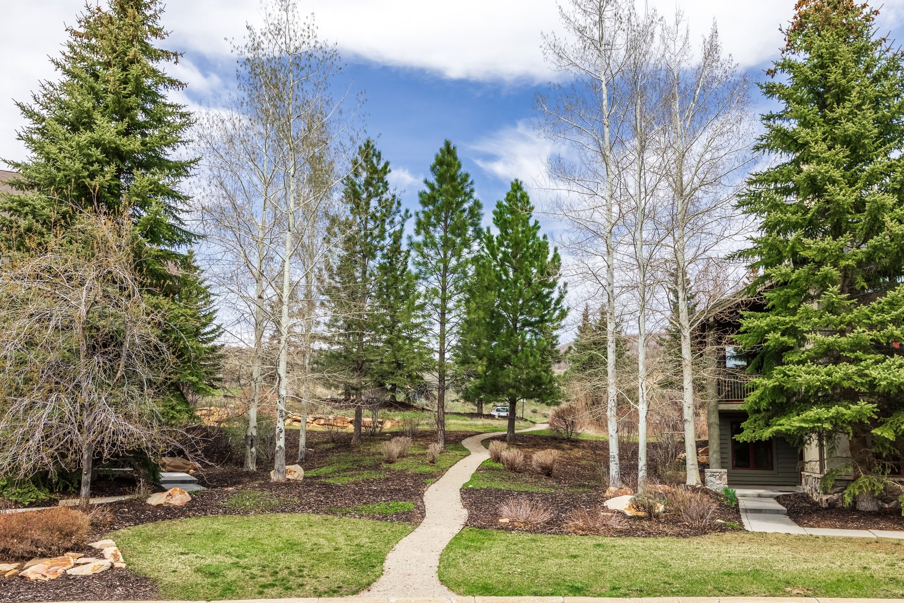  Refined Park Meadows Corner Residence with Ski Run Views & Designer Renovations - 物件實景
