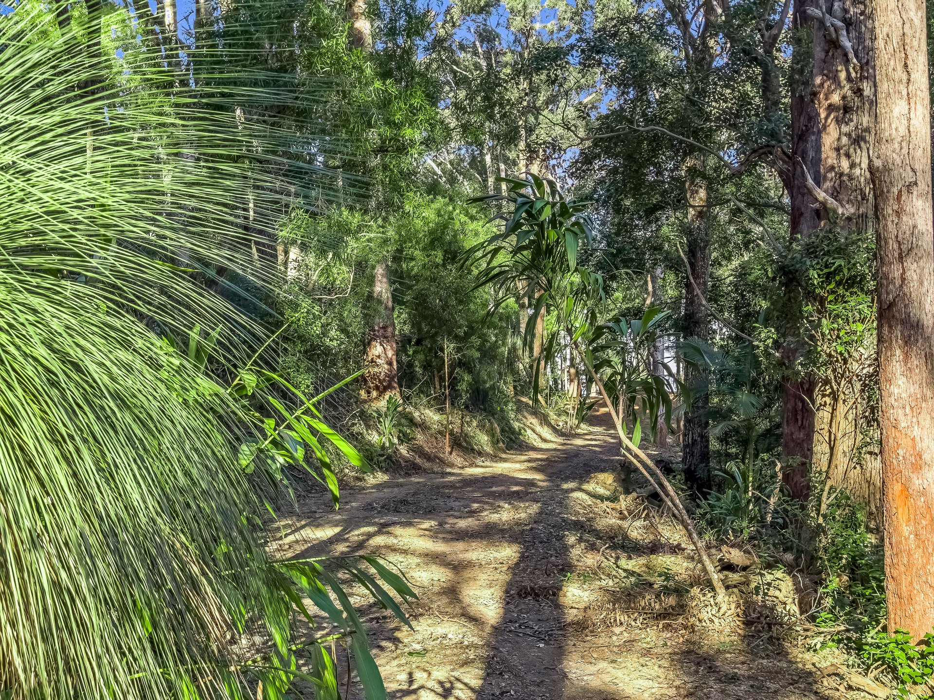  112 Pimble Valley Road, Crabbes Creek - 物件實景