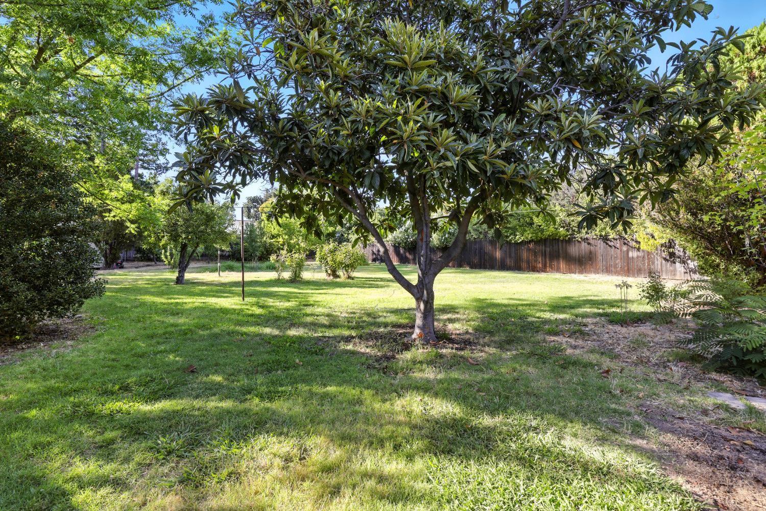 Sacramento, California, 95864, United States, 3 Bedrooms Bedrooms, ,2 BathroomsBathrooms,Residential,For Sale,1926285