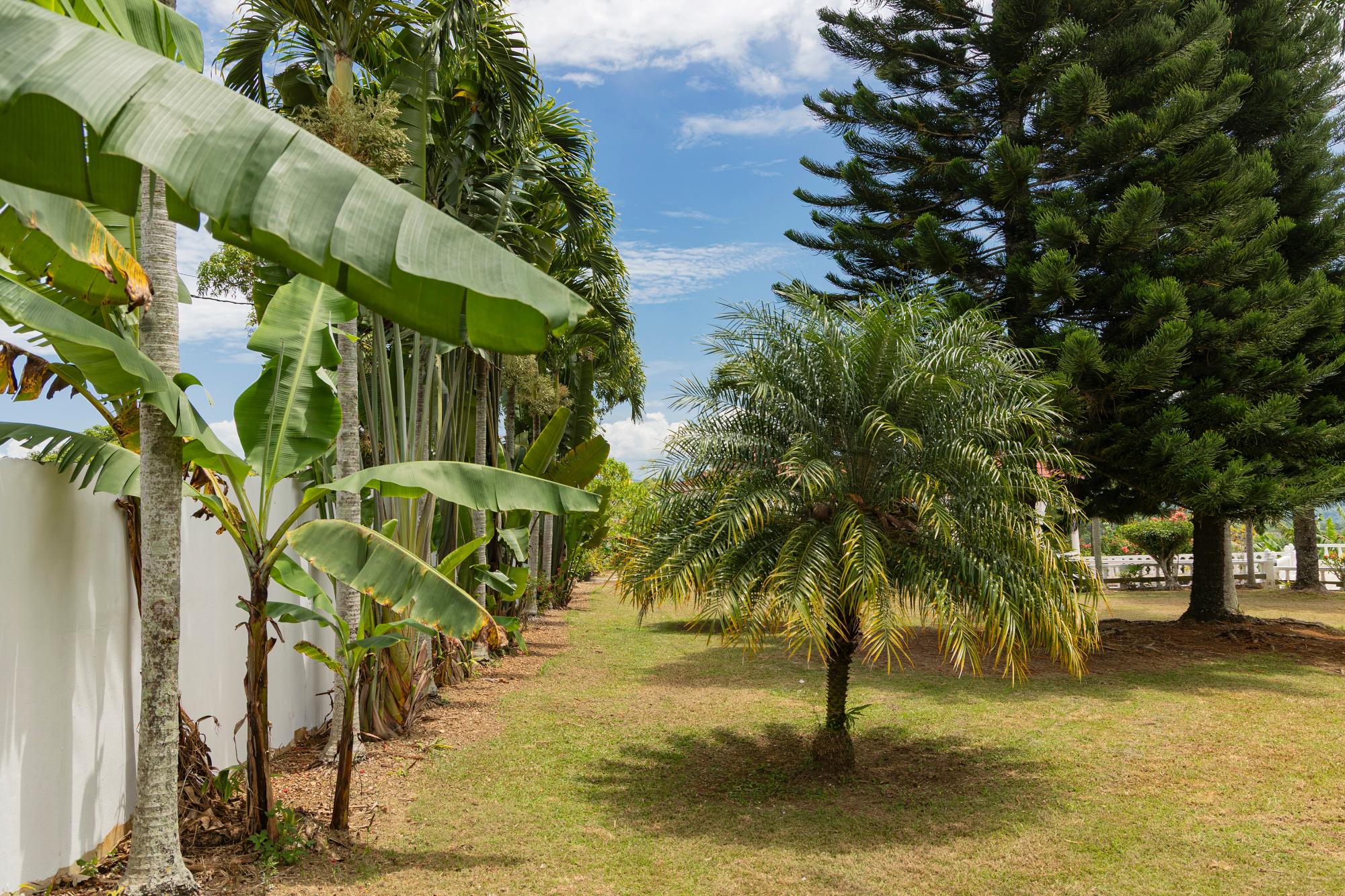  Royal Palm Estate - 物件實景