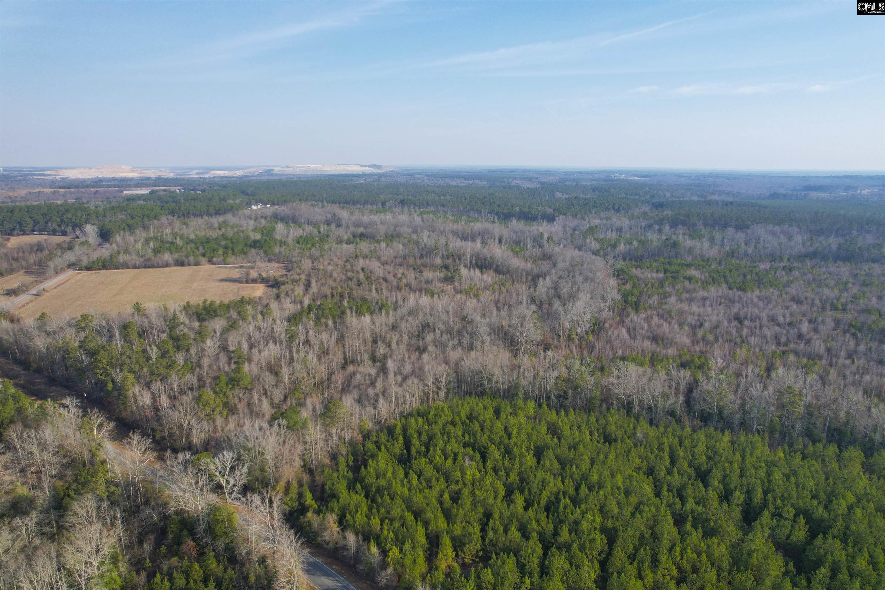703 Neds Creek Road, Kershaw, South Carolina, 29067, United States, ,Land,For Sale,703 Neds Creek Road,1669372