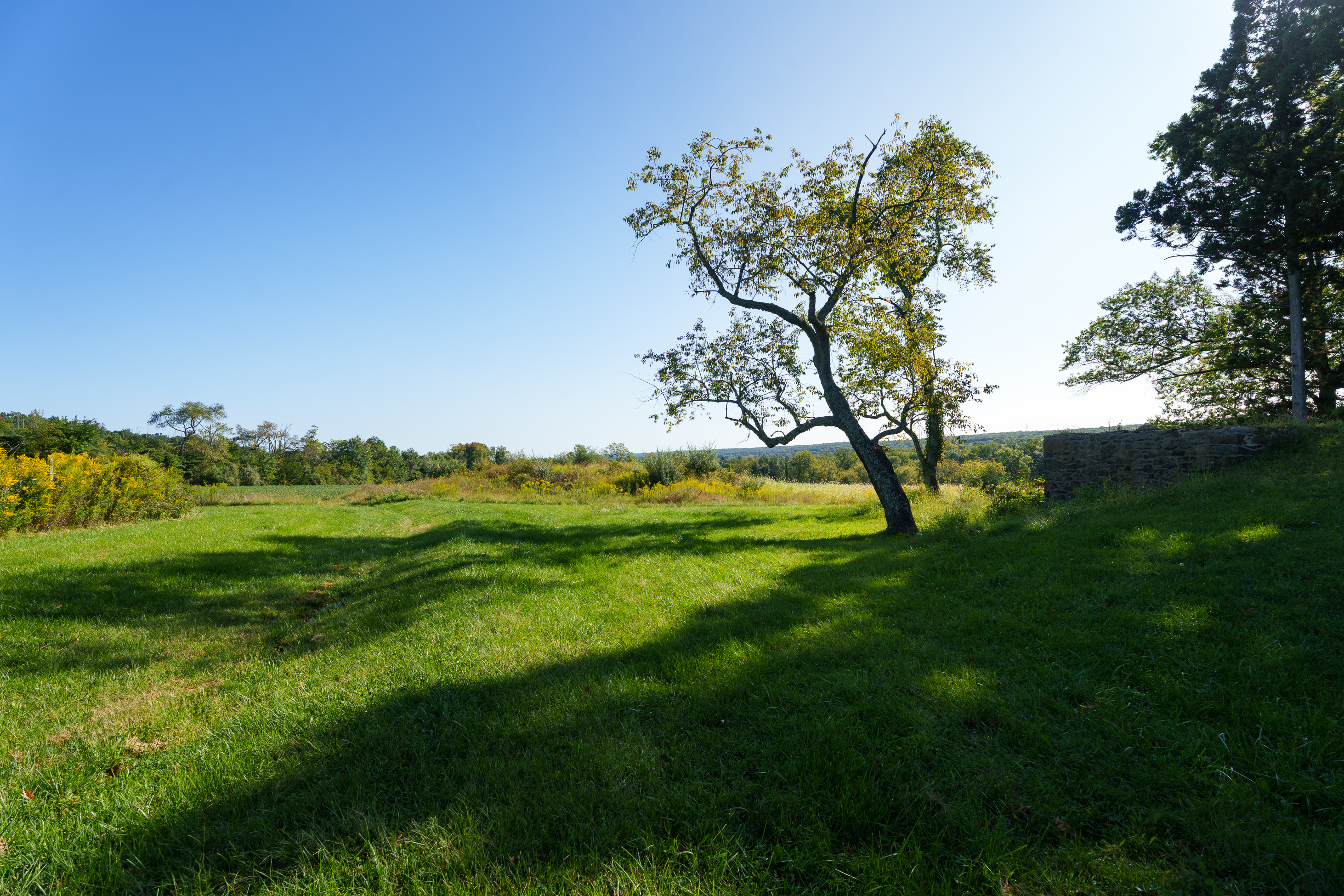  Historic Farmhouse with Nearly 95 Acres - 物件實景