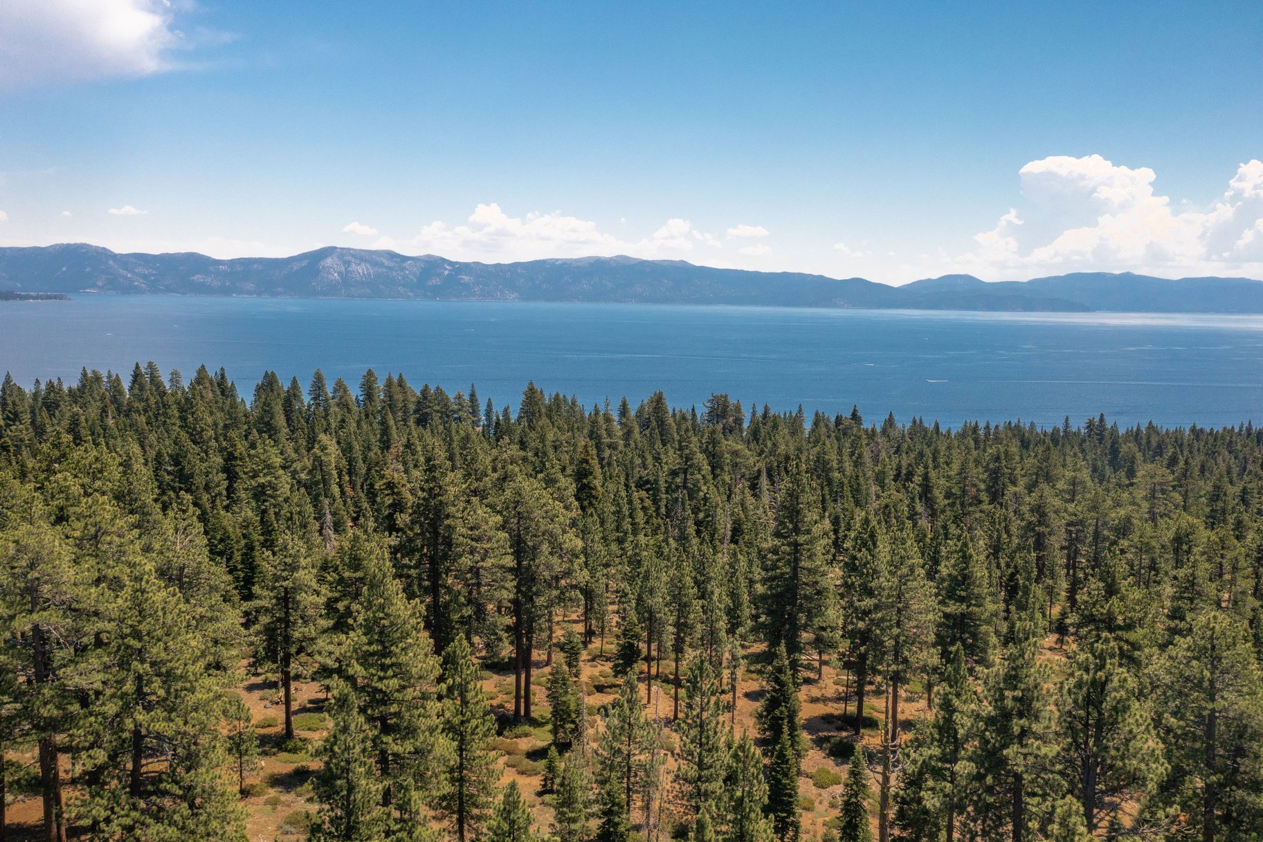  Rare, 10-acre parcel with house minutes from Tahoe City - 物件實景