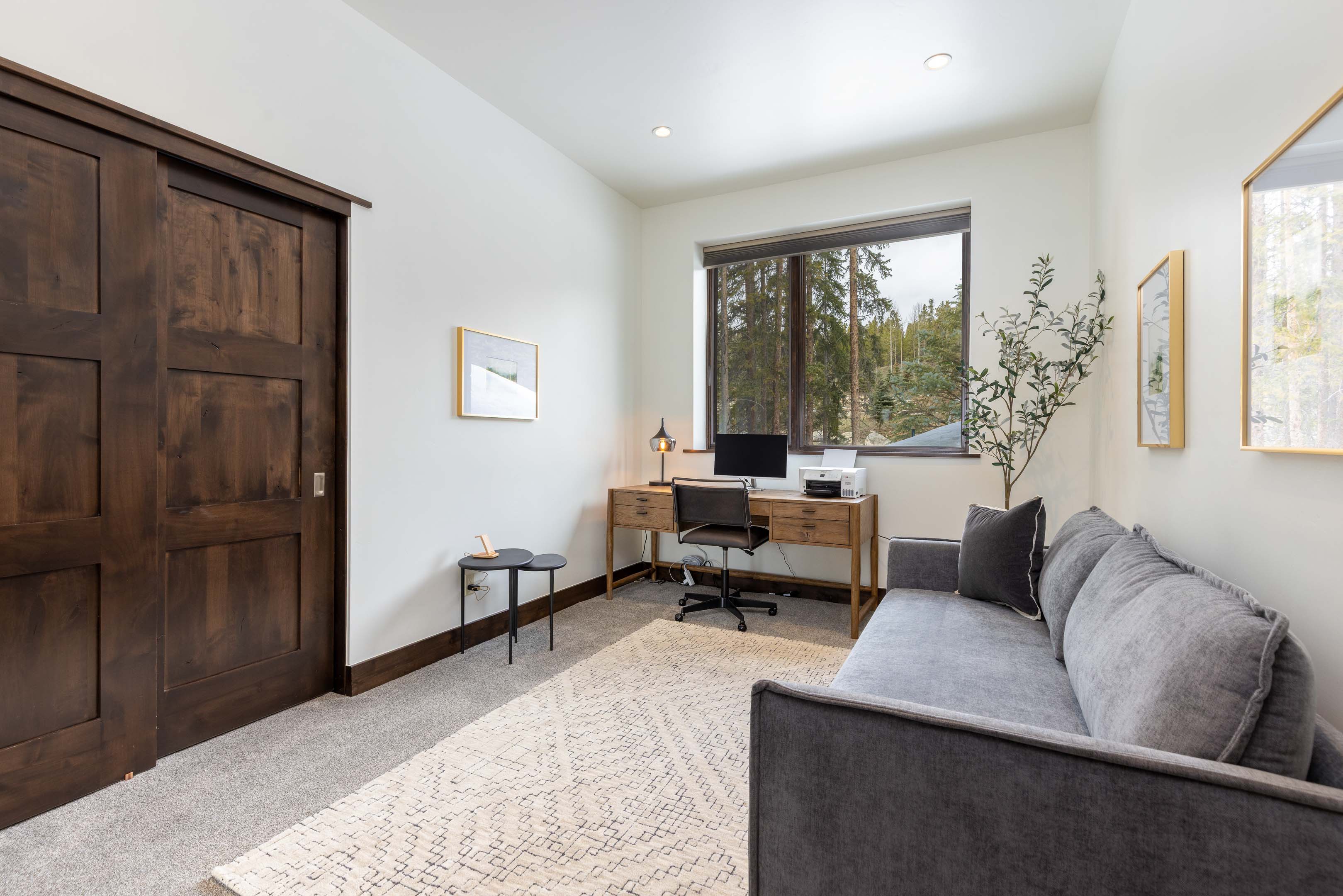  341 River Park Drive, Breckenridge, CO, 80424 - 物件實景