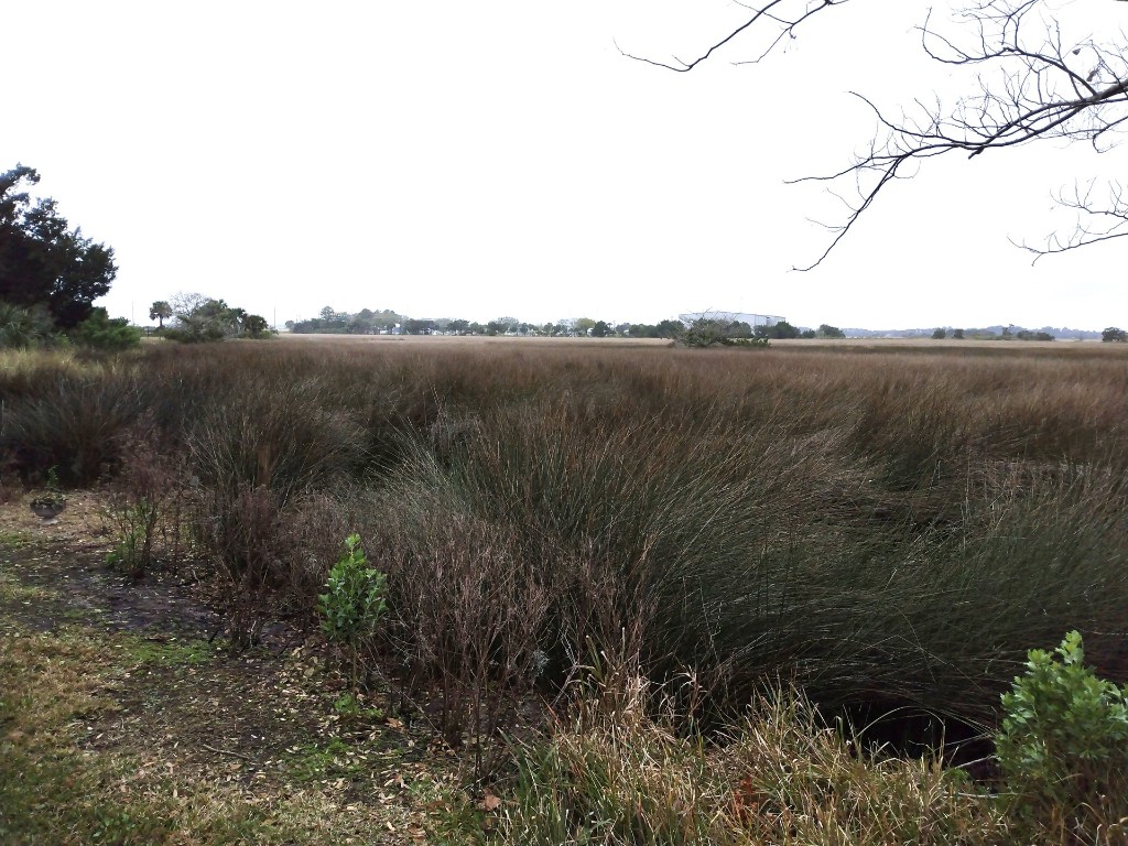 Fernandina Beach, Florida, 32034, United States, ,Land,For Sale,1982804
