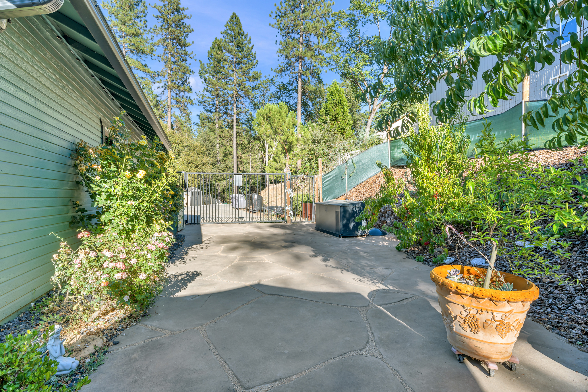  Placer Hills Road, Colfax, CA 95713 - 物件實景