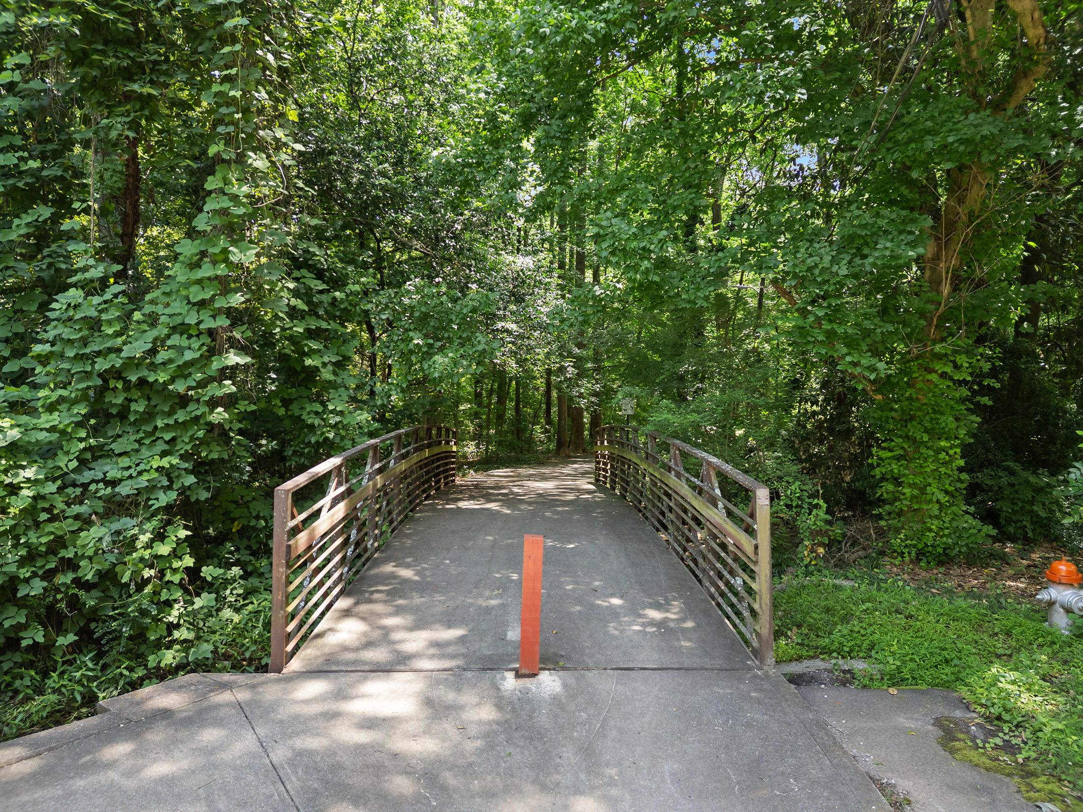  Modern Simplicity in Peaceful Winnona Park - 物件實景
