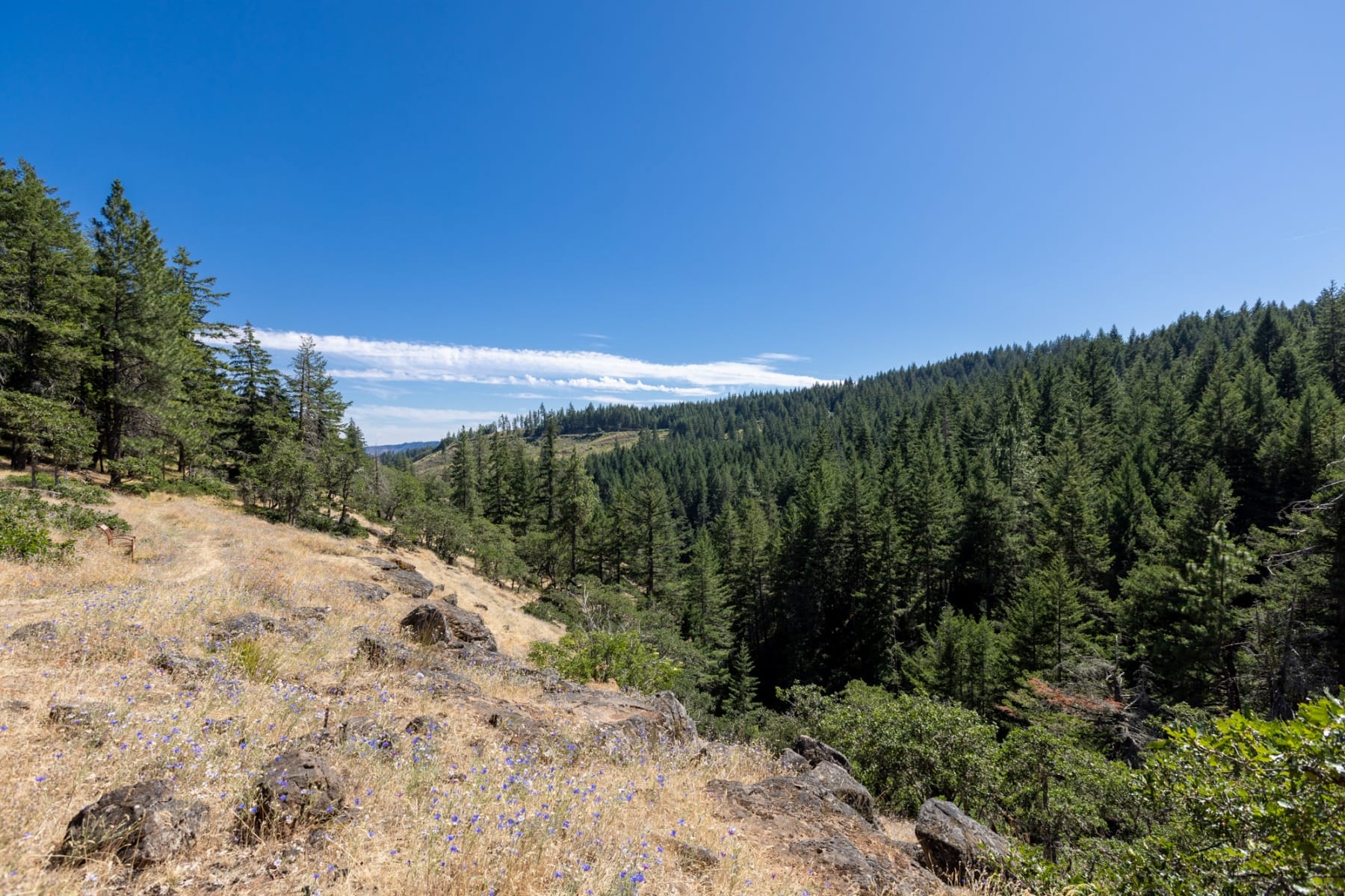  82 MEADOWS LOOP Lyle, WA 98635 - 物件實景