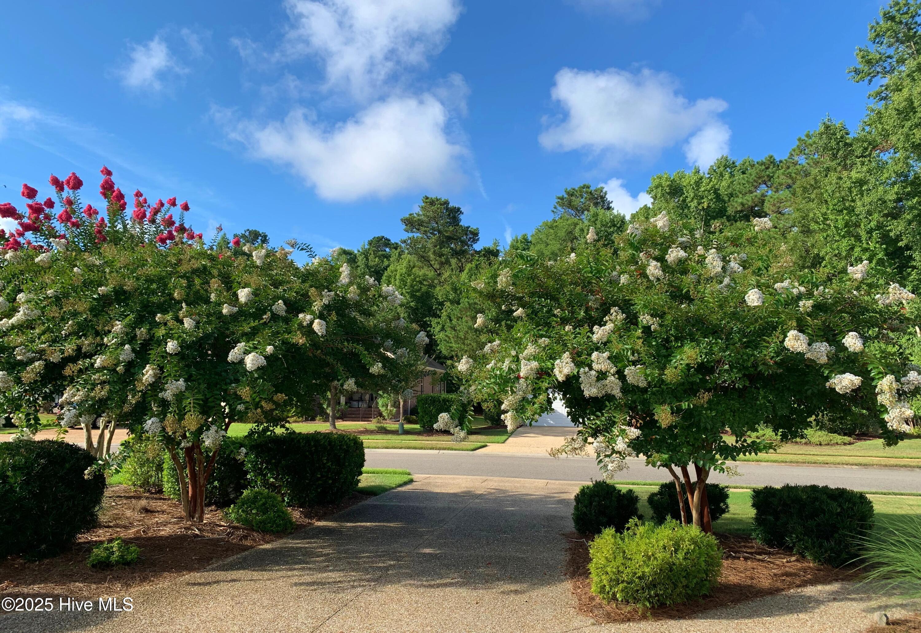 Leland, North Carolina, 28451, United States, 3 Bedrooms Bedrooms, ,3 BathroomsBathrooms,Residential,For Sale,1962927