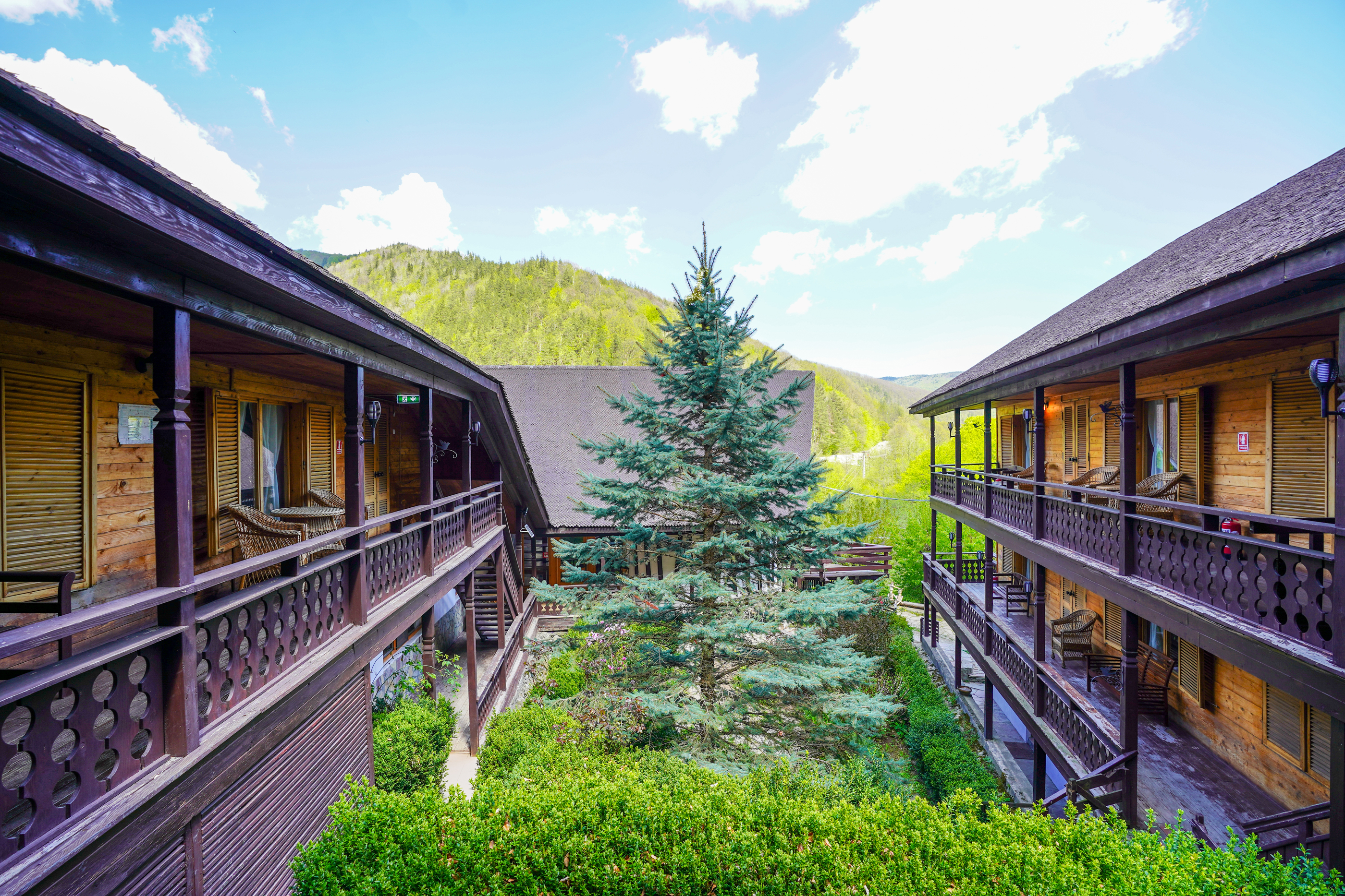  ?Casa Tisaru? - A Versatile Retreat in the Heart of Nature - 物件實景