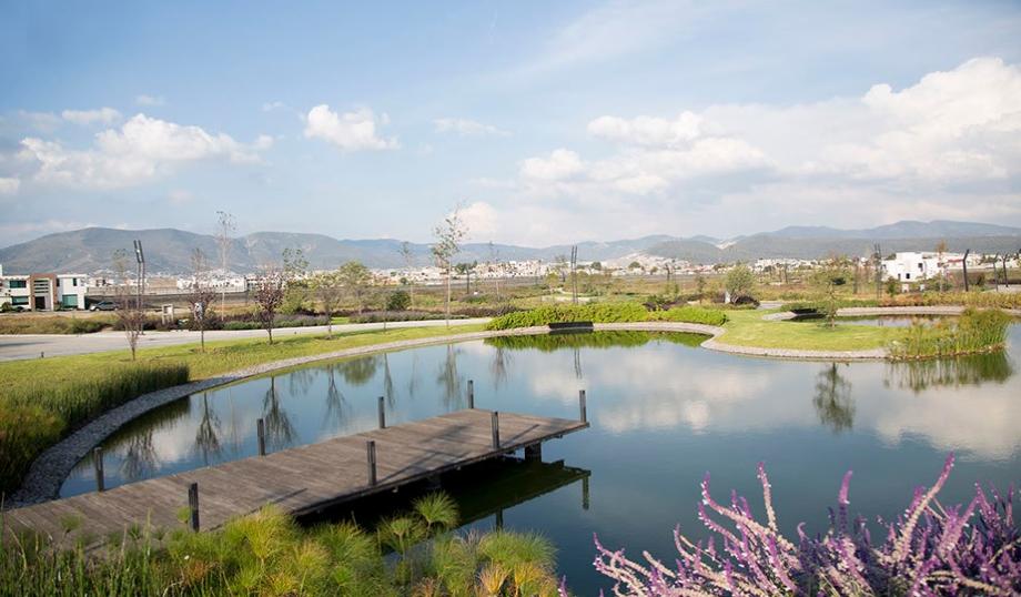 Pachuca de Soto, Hidalgo, 42084, Mexico, 1 Bedroom Bedrooms, ,Residential,For Sale,1918858