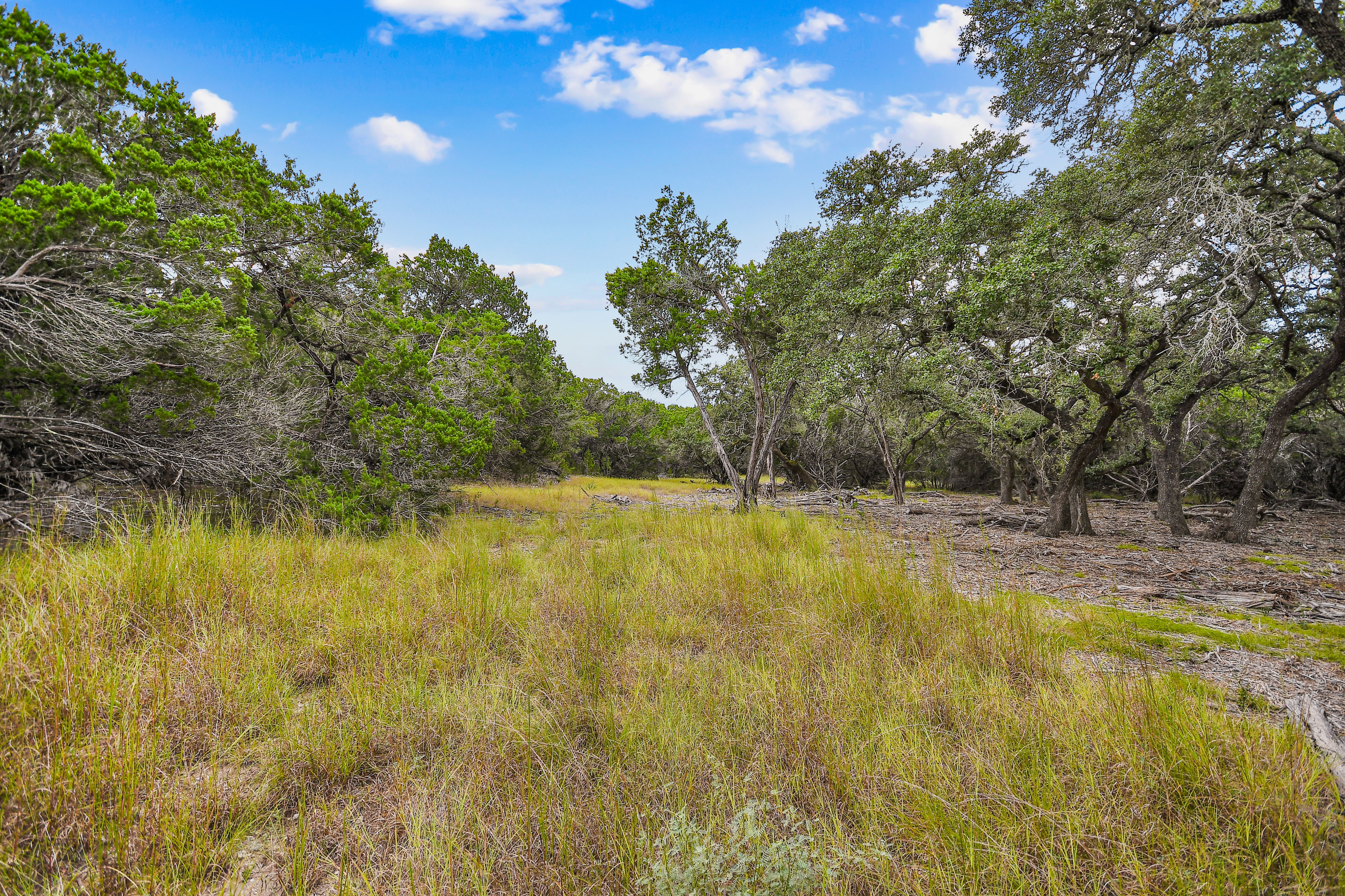  TBD Hwy 46 / Madrona Ranch Road, Pipe Creek, TX 78063 - 物件實景