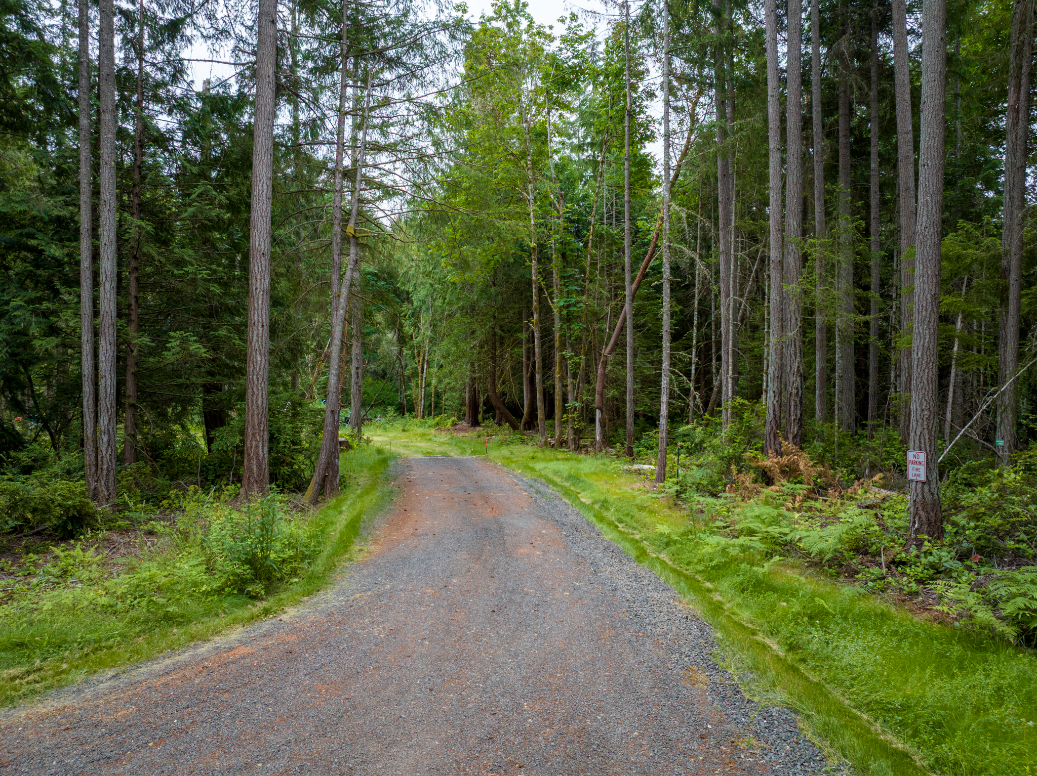  Lot A Bucsit Lane Northeast, Bainbridge Island, WA 98110 - 物件實景