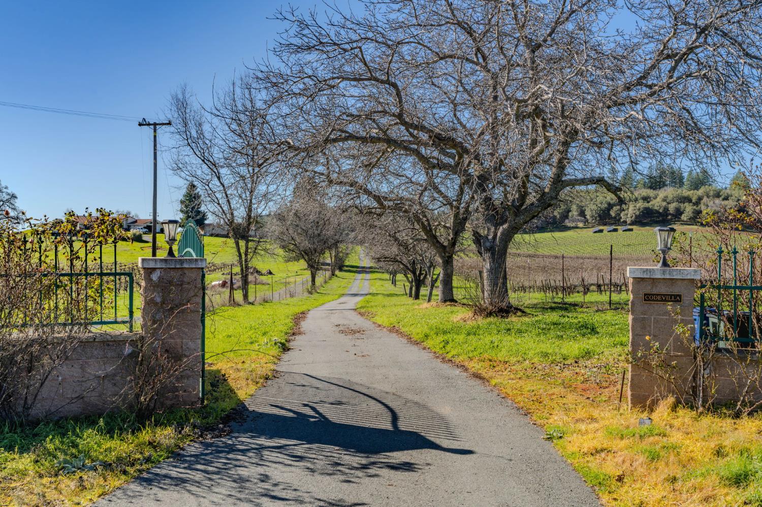 Plymouth, California, 95669, United States, 3 Bedrooms Bedrooms, ,3 BathroomsBathrooms,Residential,For Sale,1979143