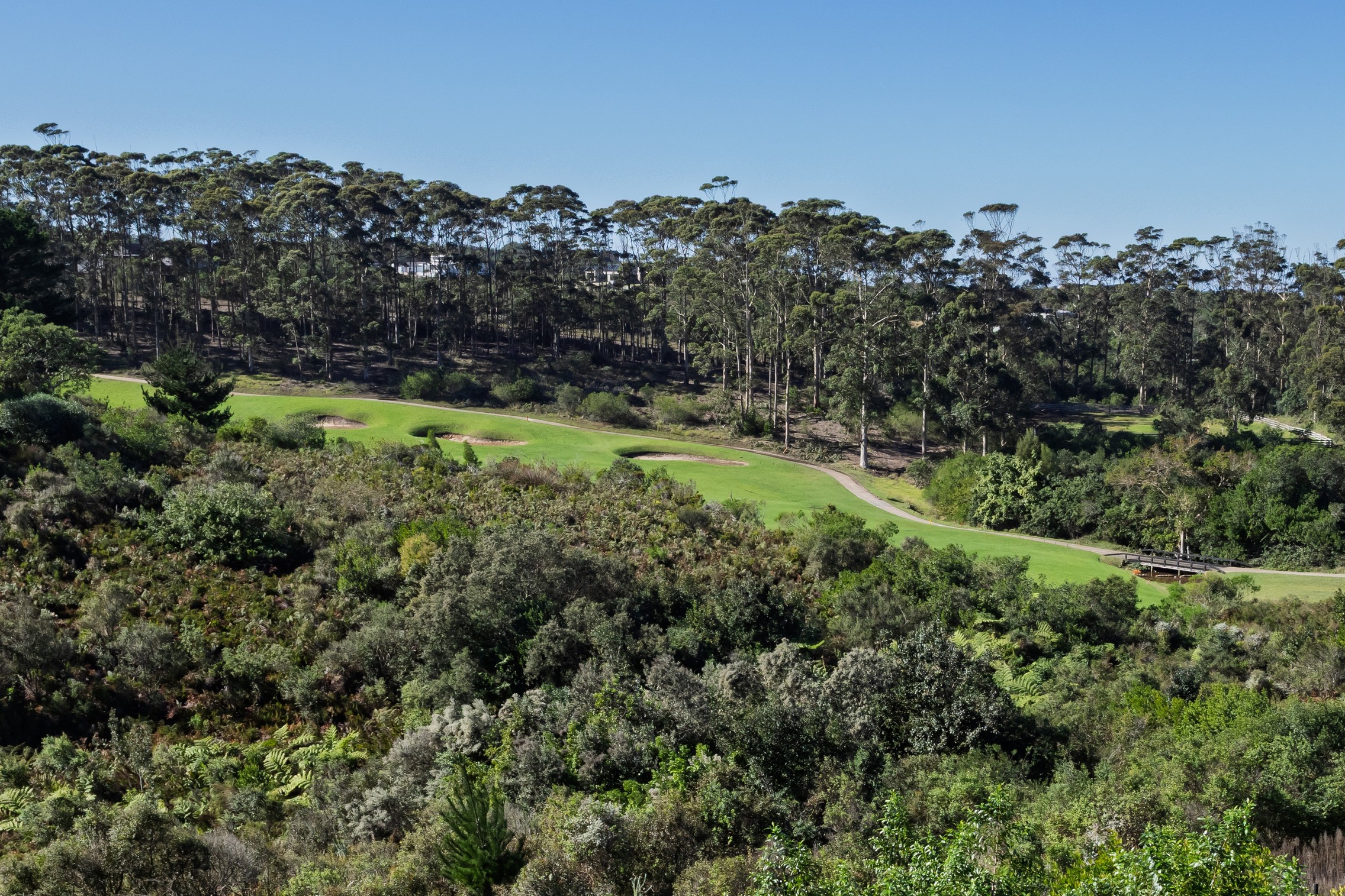  33 Dunnage Drive, Pezula Golf Estate - 物件實景