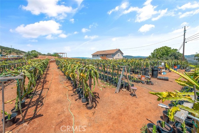 Fallbrook, California, 92028, United States, 2 Bedrooms Bedrooms, ,3 BathroomsBathrooms,Residential,For Sale,1979251