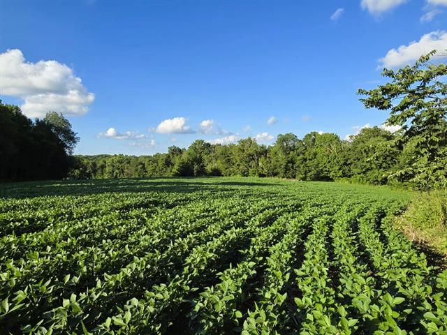 Soldiers Grove, Wisconsin, 54655, United States, ,Residential,For Sale,1904282