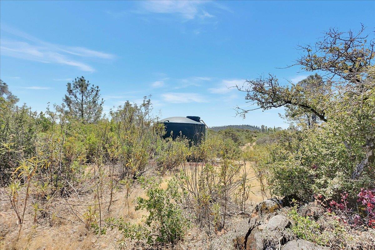 Oregon House, California, 95962, United States, ,Land,For Sale,1975767