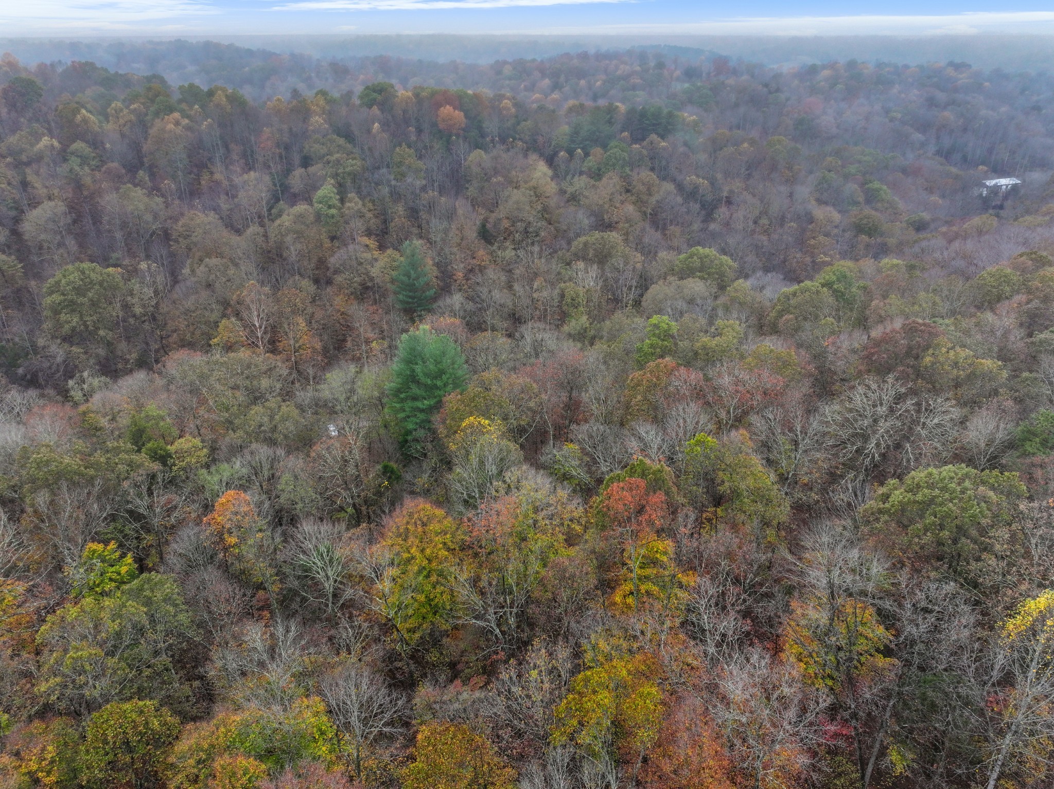 Cunningham, Tennessee, 37052, United States, ,Residential,For Sale,1920443