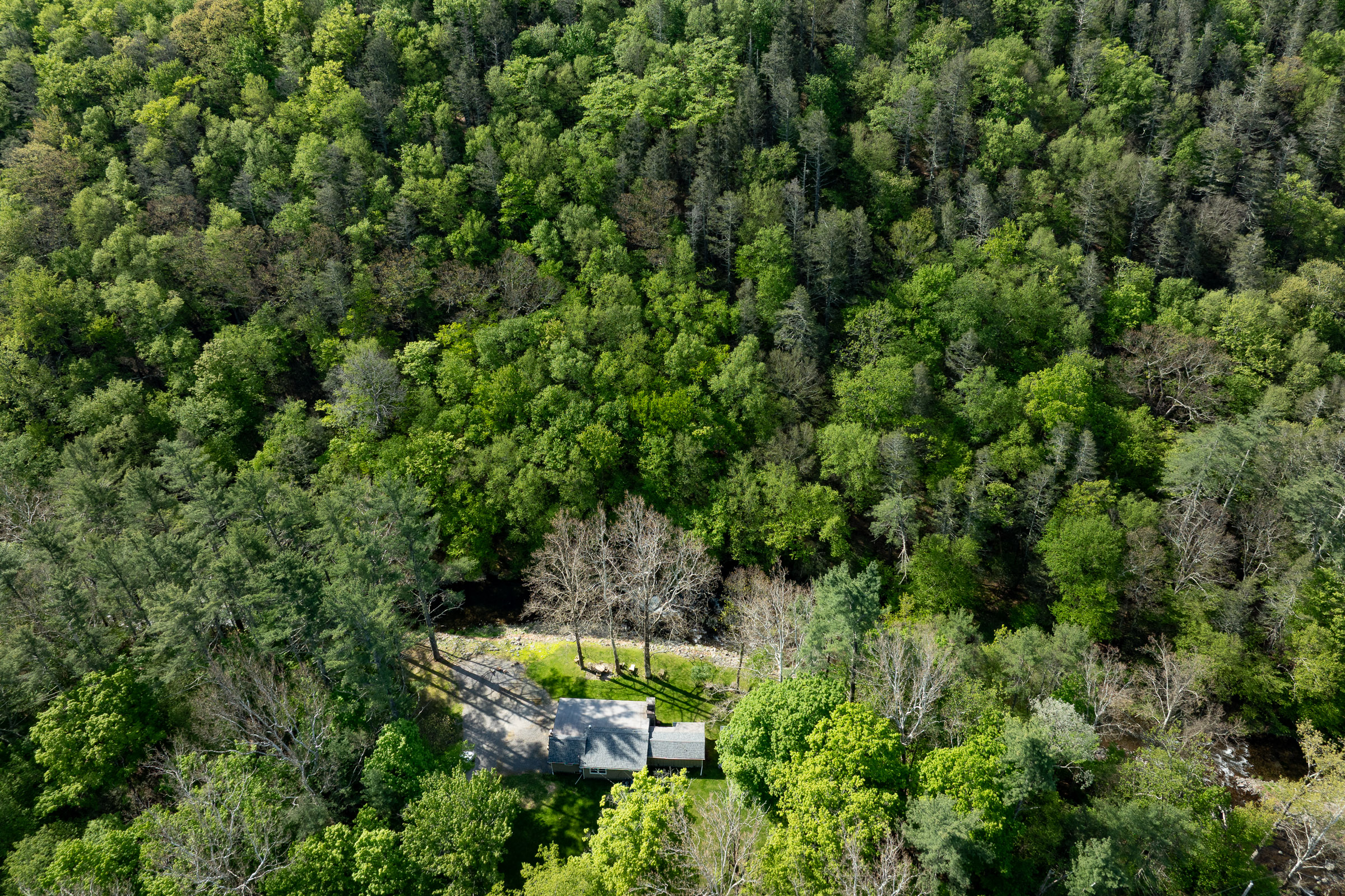  203 Watson Hollow Road, West Shokan, NY, 12494 - 物件實景