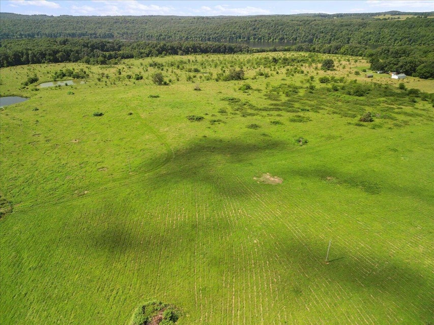 Udall, Missouri, 65766, United States, ,Land,For Sale,1984172