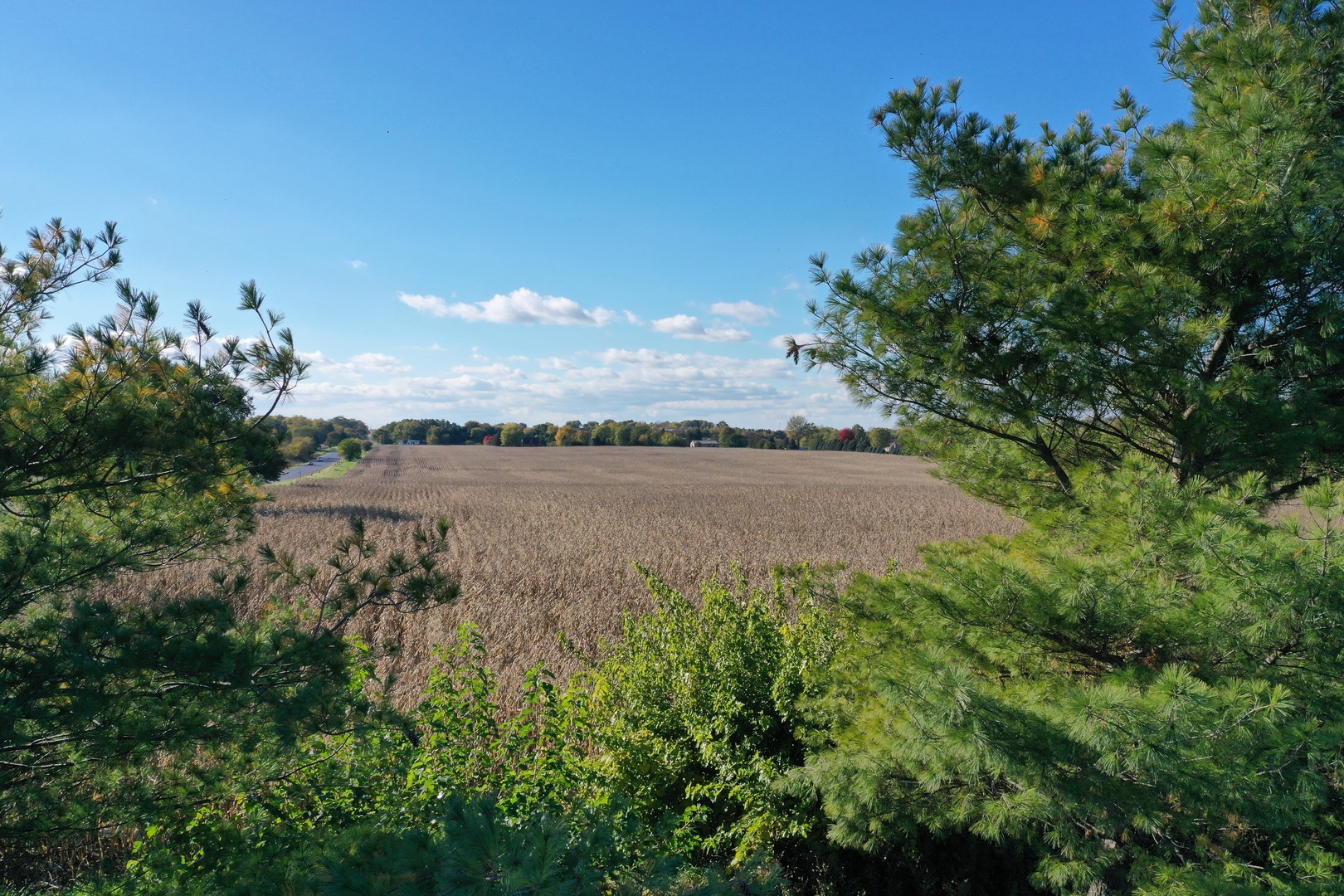 Mokena, Illinois, 60448, United States, ,Residential,For Sale,1869367