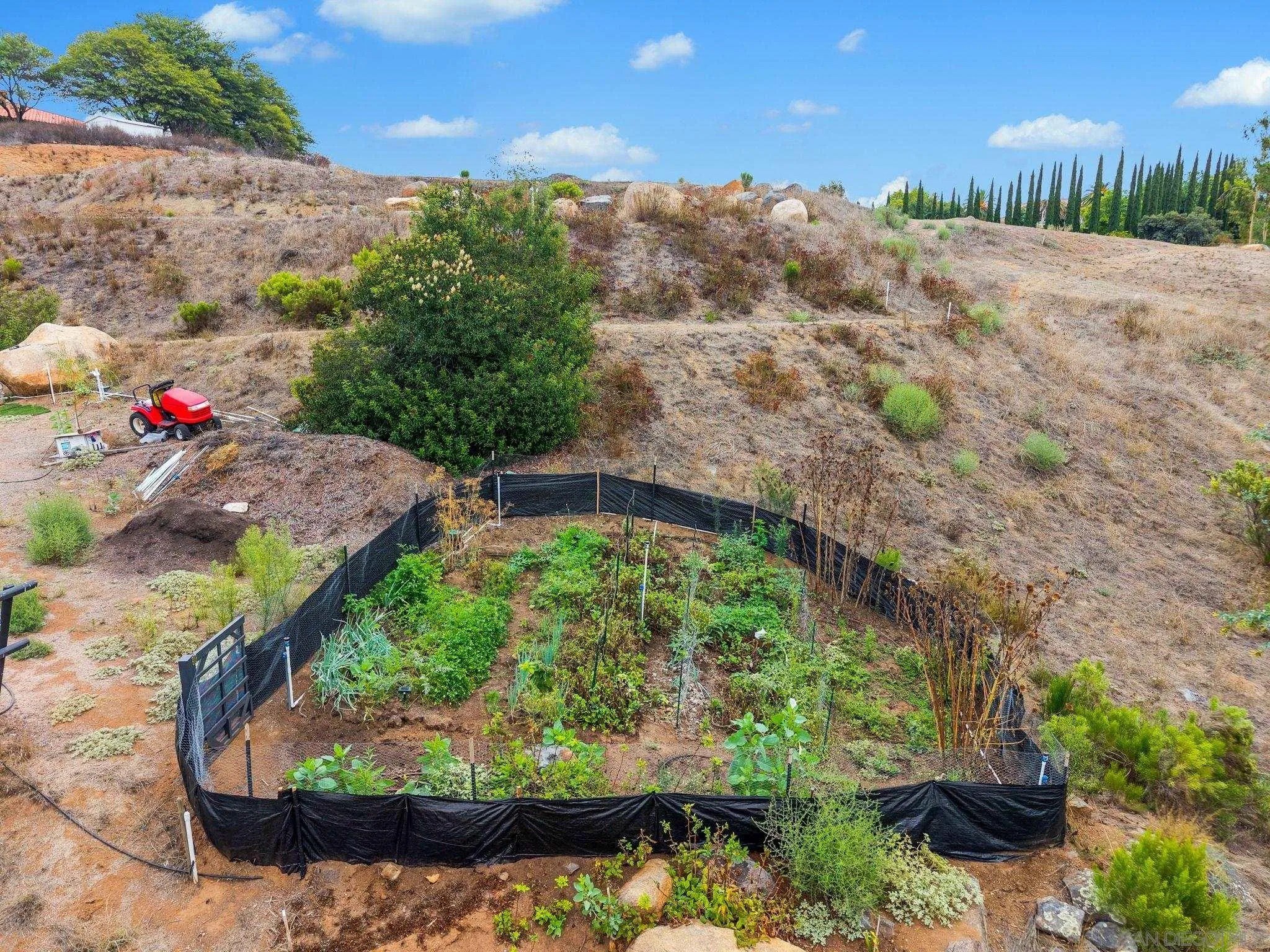 Jamul, California, 91935, United States, ,Land,For Sale,1956444