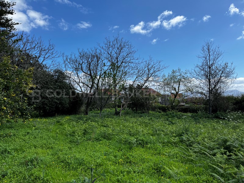 Pontevedra, Moa?a, Moa?a (San Marti?o P. E Virxe d, Moaña, Galicia, ES, 7 Bedrooms Bedrooms, ,2 BathroomsBathrooms,Residential,For Sale,Pontevedra, Moa?a, Moa?a (San Marti?o P. E Virxe d,1623275