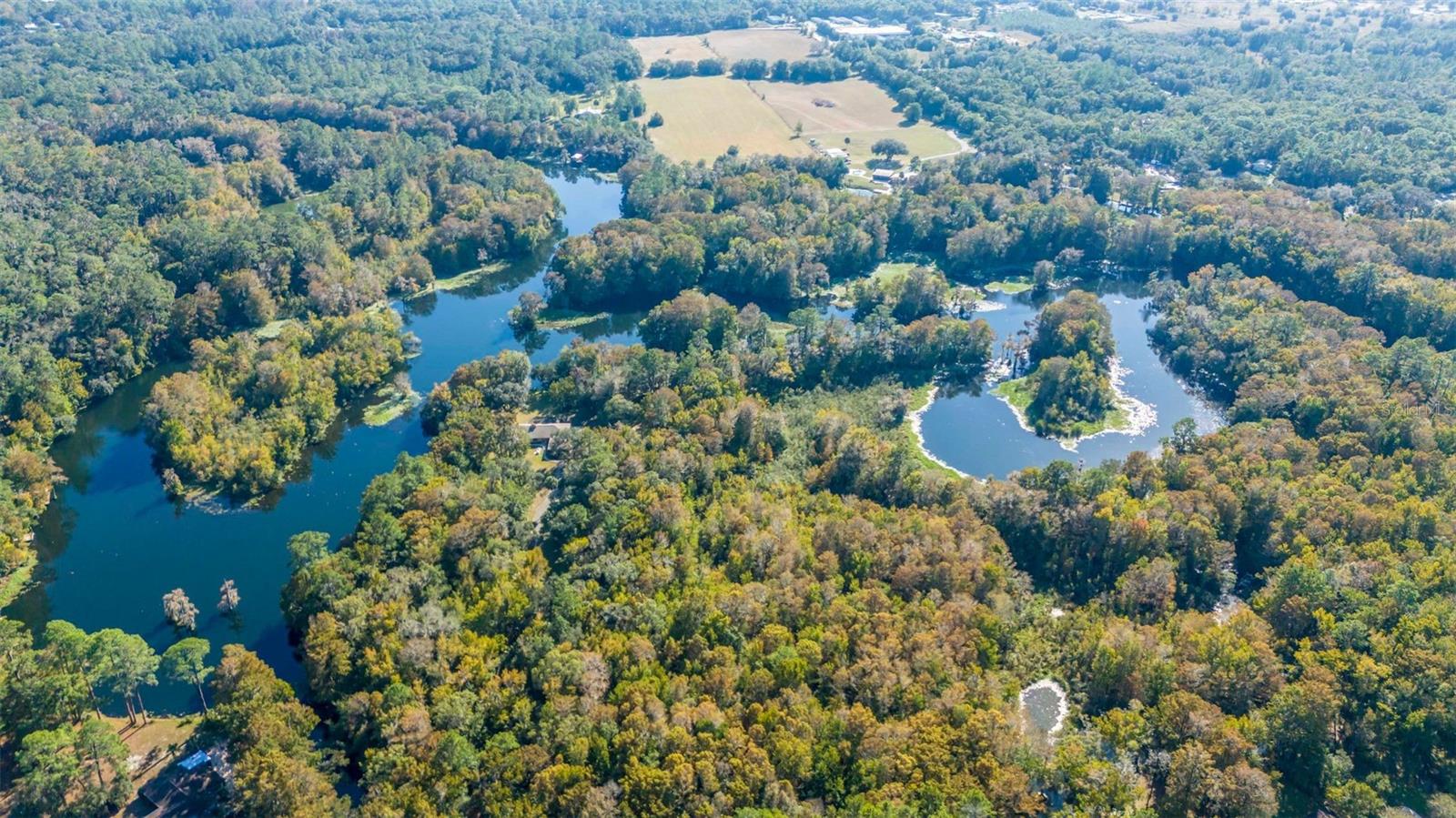 DUNNELLON, Florida, 34431, United States, 3 Bedrooms Bedrooms, ,2 BathroomsBathrooms,Residential,For Sale,1993271