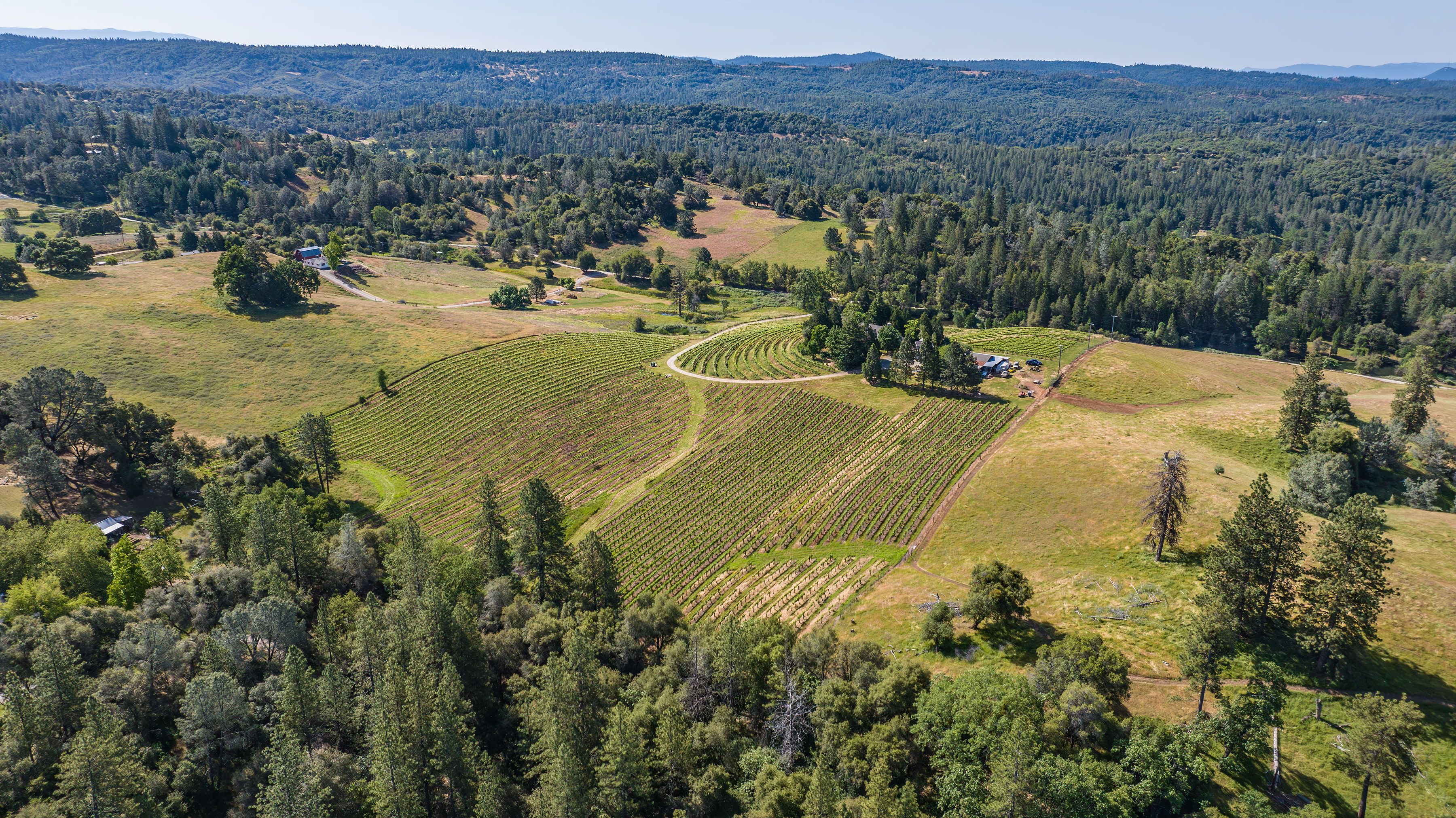  22 Acres • Panoramic Views • Unmatched Privacy • Idyllic Ranch Estate - 物件實景