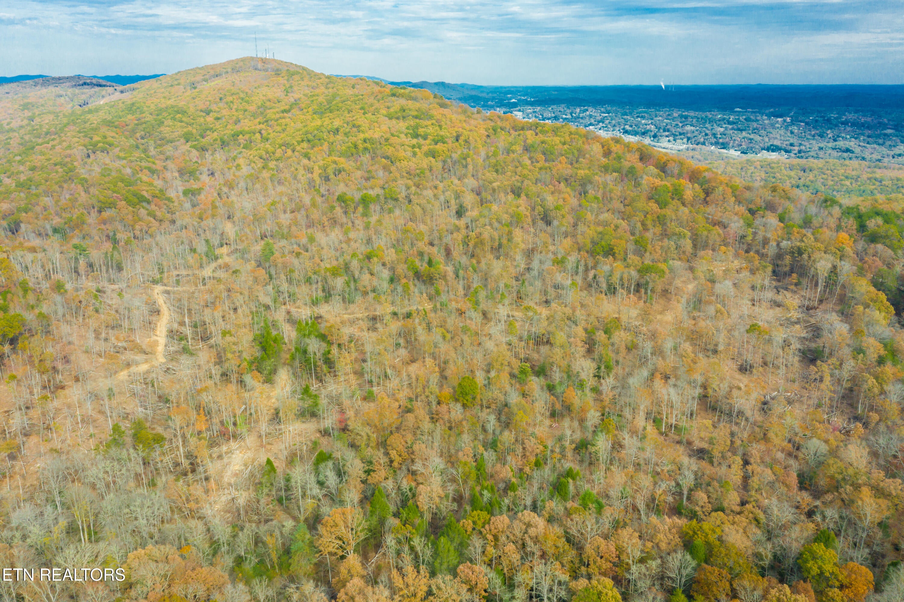 Rockwood, Tennessee, 37854, United States, ,Land,For Sale,1806468