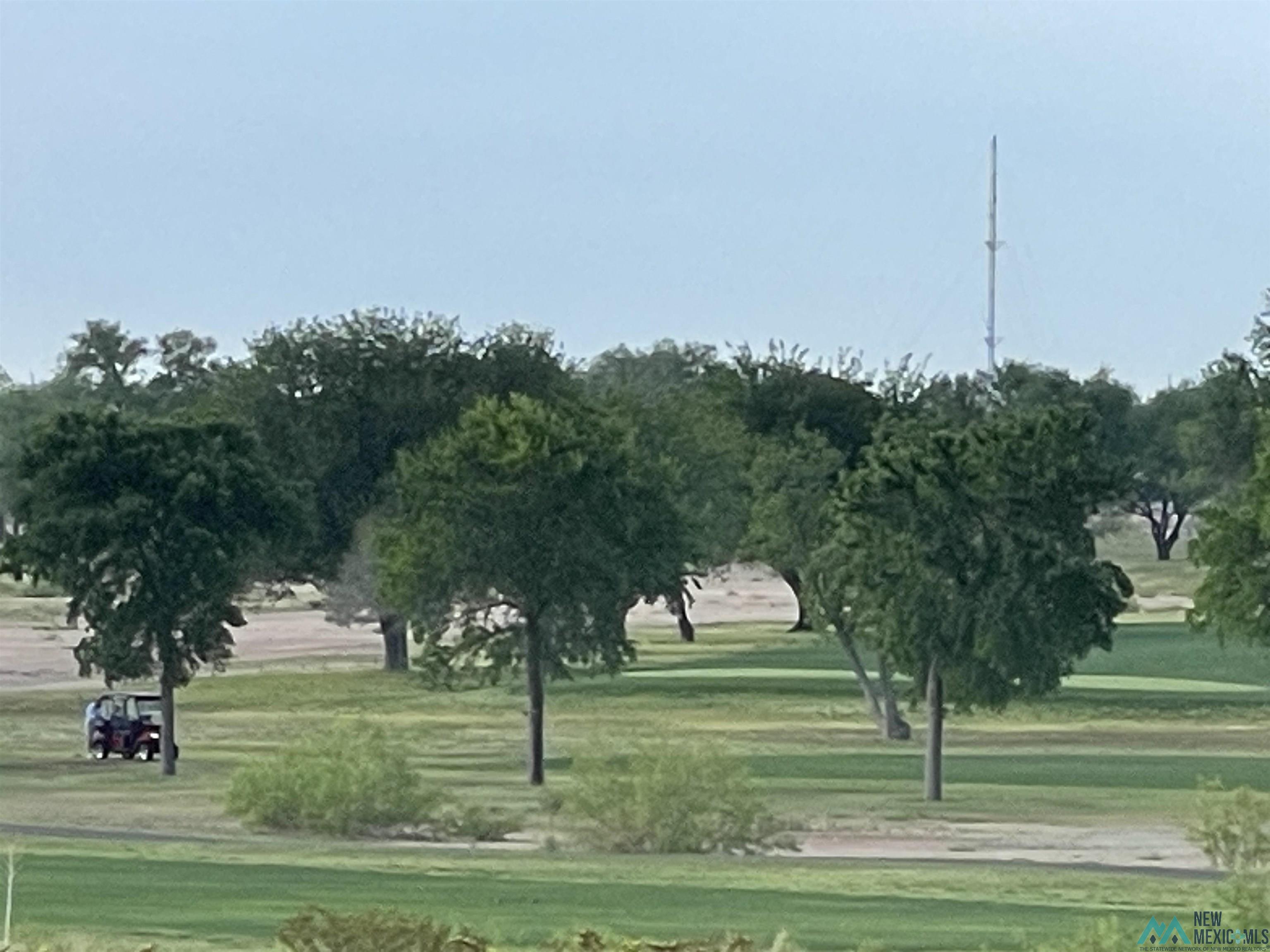 Artesia, New Mexico, 88210, United States, ,Land,For Sale,1978957