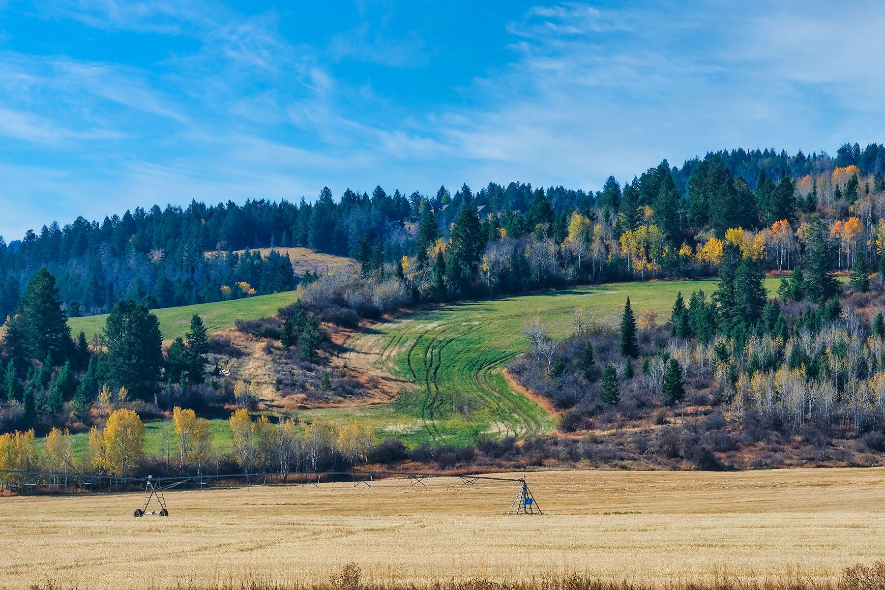  Teton Jewel  Ranch Home - 物件實景