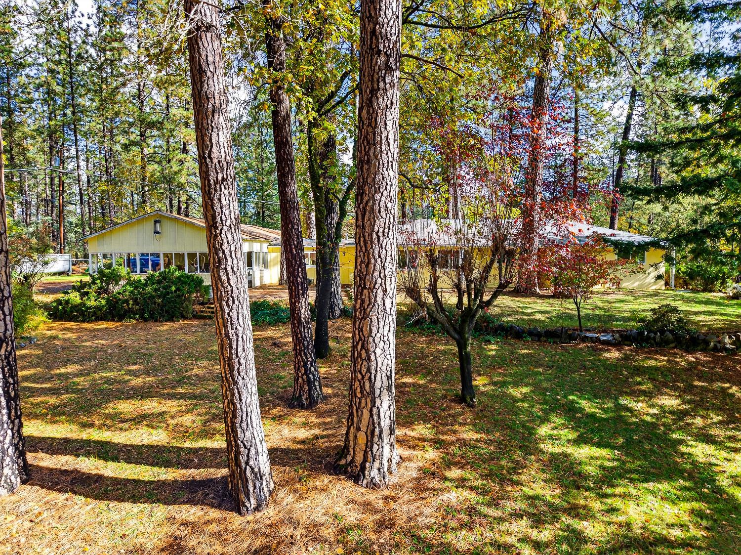 Colfax, California, 95713, United States, 3 Bedrooms Bedrooms, ,2 BathroomsBathrooms,Residential,For Sale,1987014