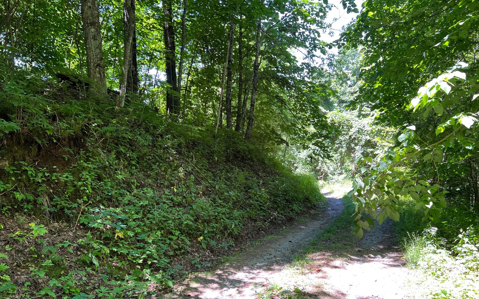 101ac Lori'S Mountain, Hayesville, North Carolina, 28904, United States, ,Residential,For Sale,101ac Lori'S Mountain,1304629