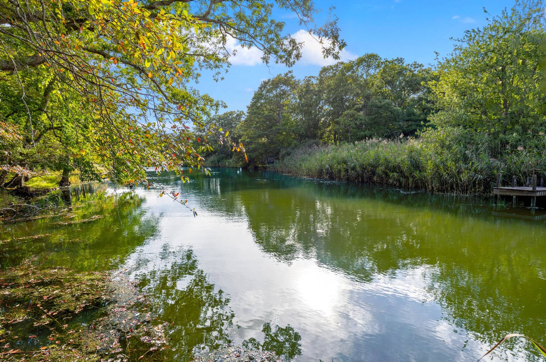  South of The Highway Location Like No Other - 物件實景