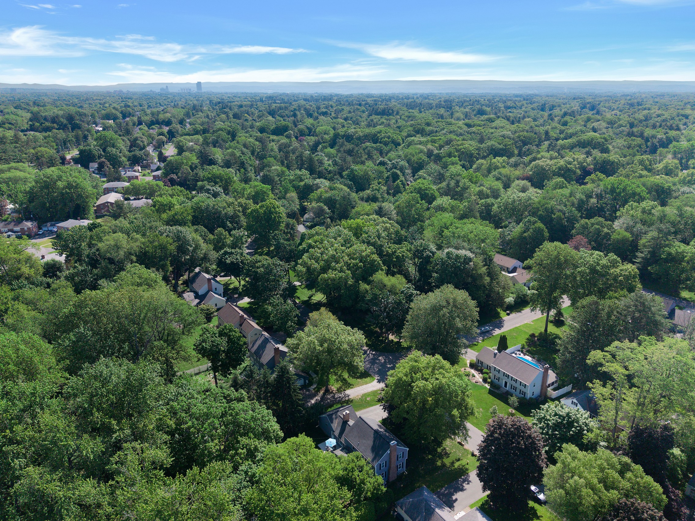  16 Longwood Drive, Bethlehem, NY, 12054 - 物件實景