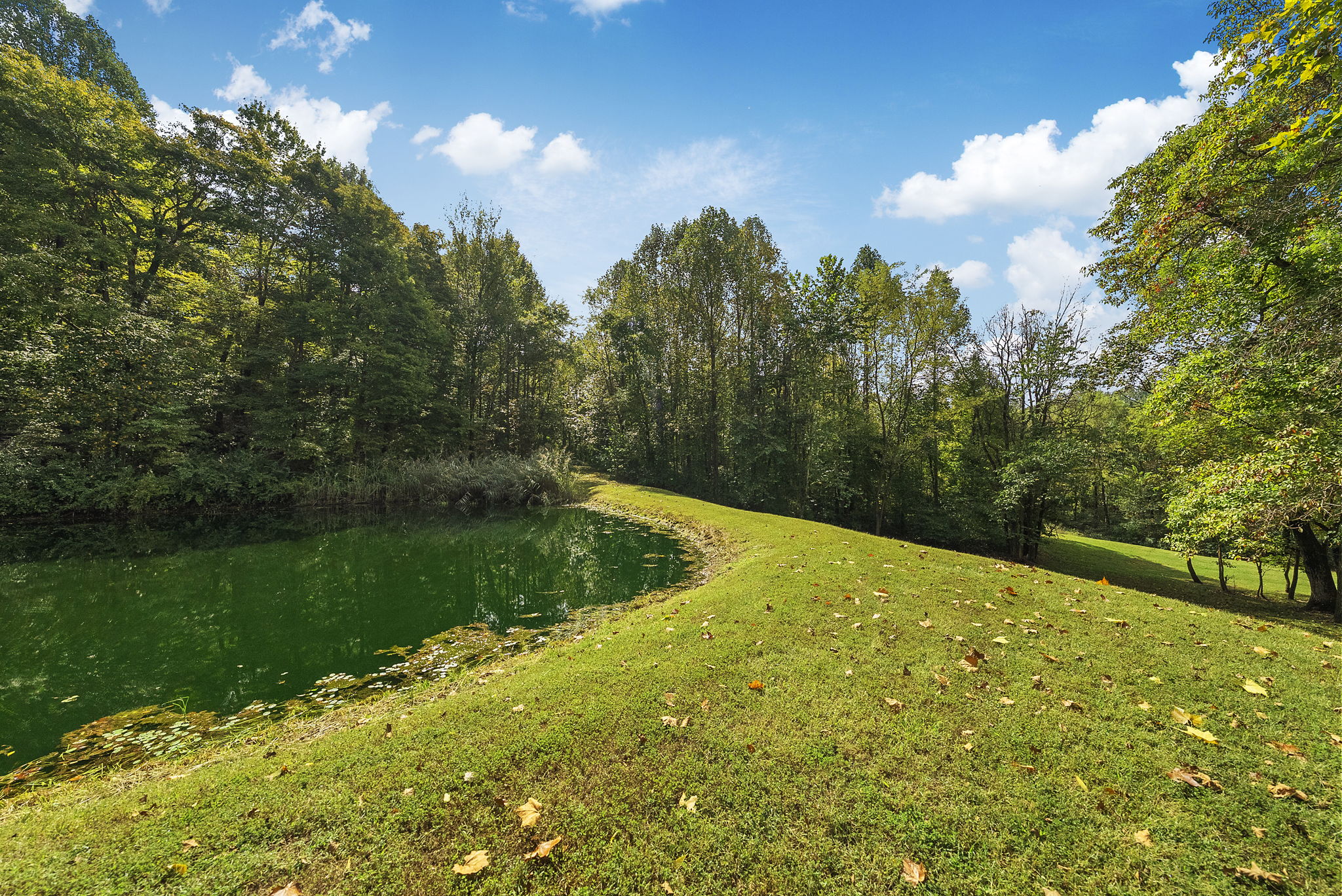 Bloomfield, Indiana, 47424, United States, 3 Bedrooms Bedrooms, ,2 BathroomsBathrooms,Residential,For Sale,1976098