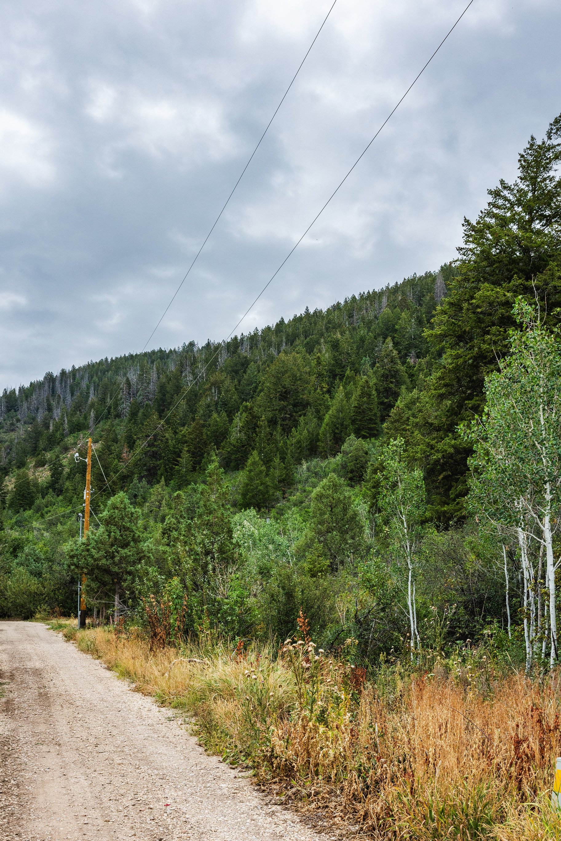  One+ Acre Off Mirror Lake Highway  Power, Septic Plan & Year Round Access - 物件實景