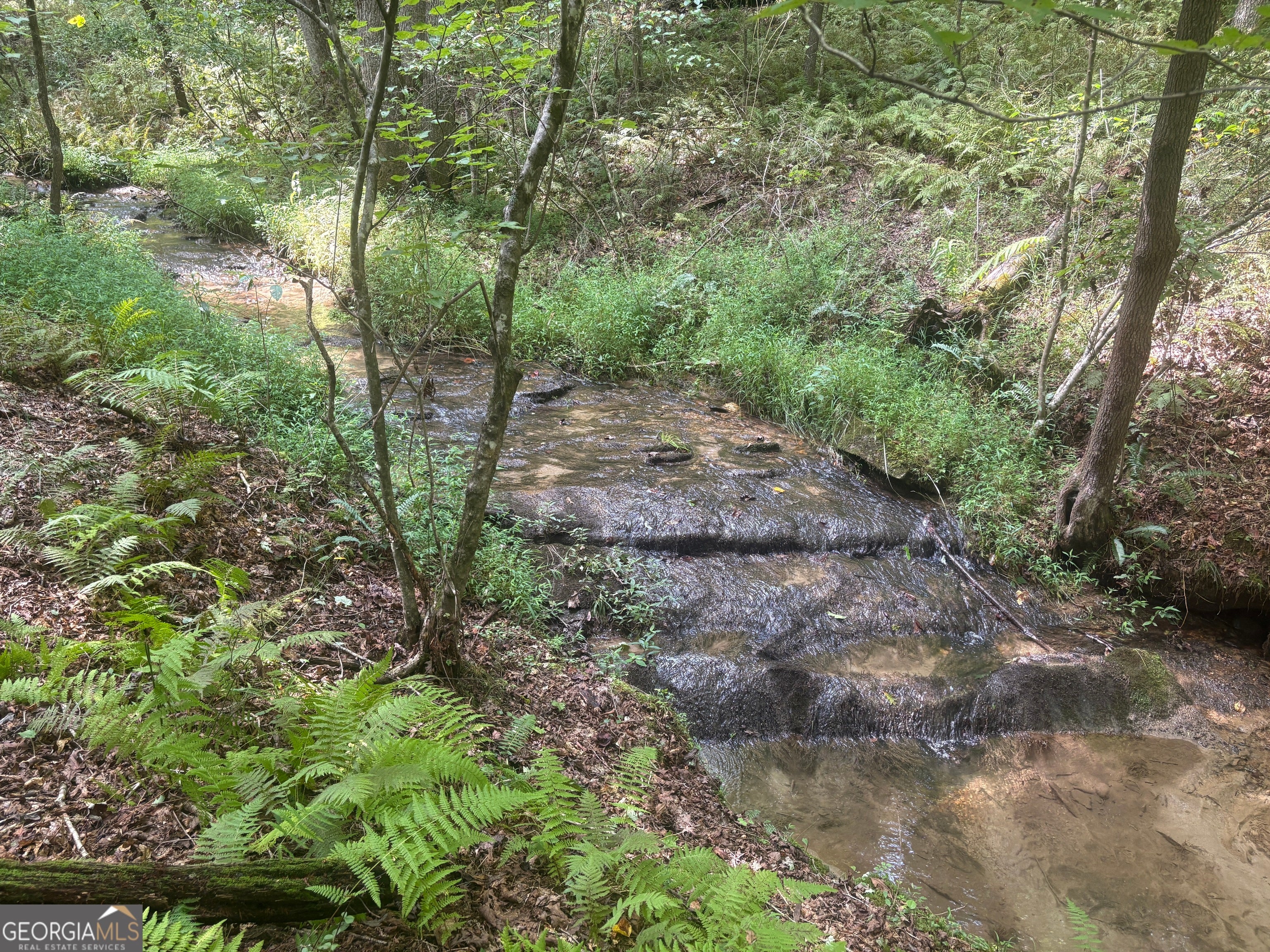 Blue Ridge, Georgia, 30513, United States, 4 Bedrooms Bedrooms, ,3 BathroomsBathrooms,Residential,For Sale,1919420