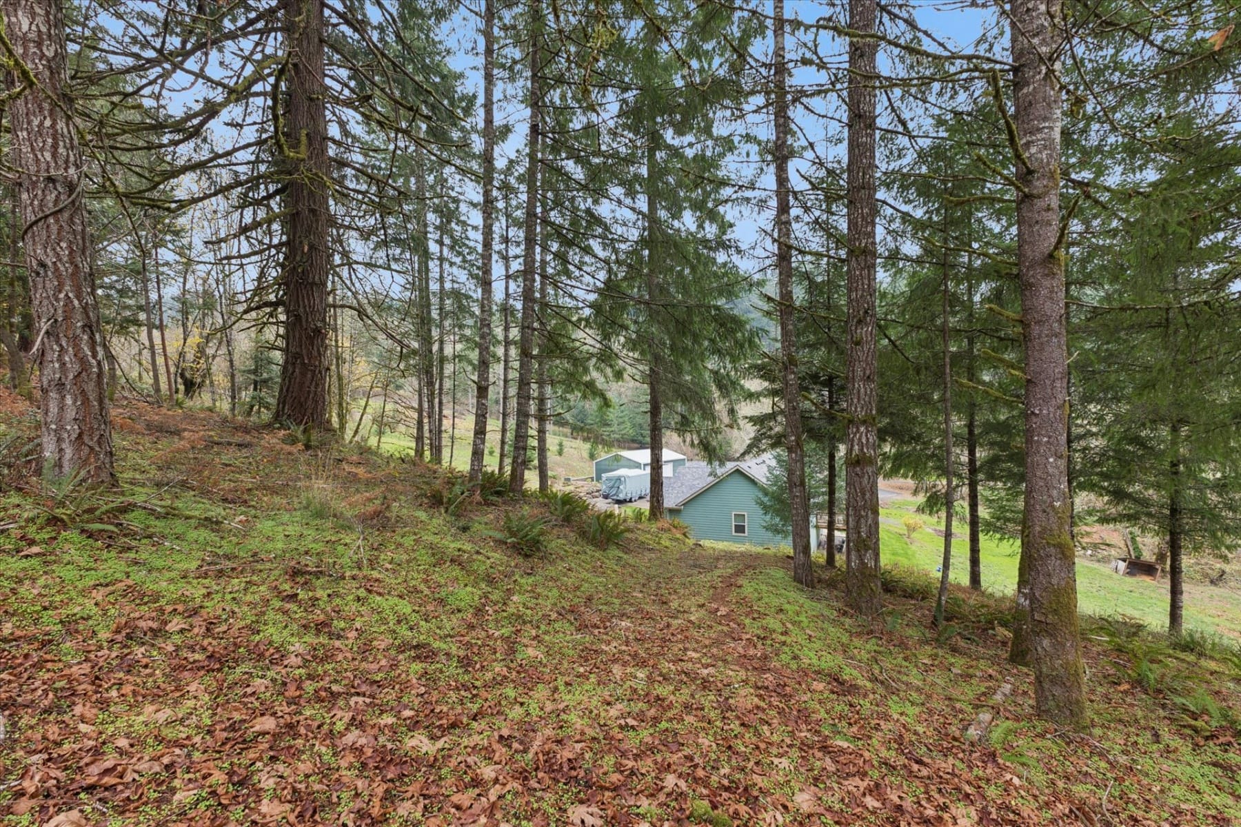  3550 NW BLACKTAIL DR McMinnville, OR 97128 - 物件實景